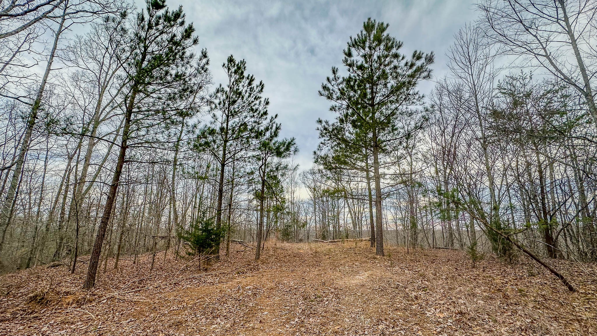 0 Highway 100 Property Photo 12