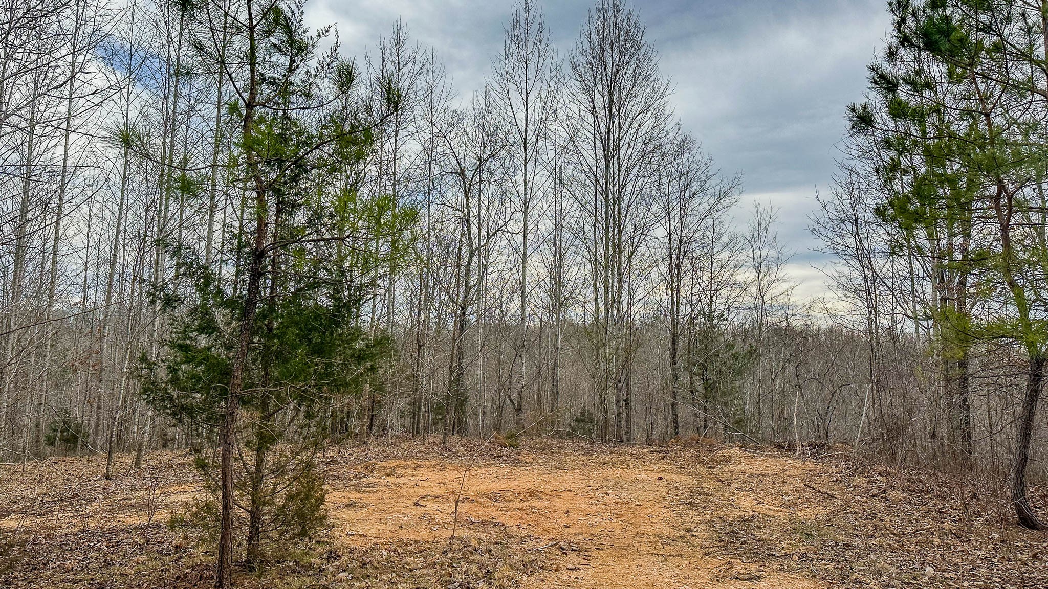 0 Highway 100 Property Photo 15