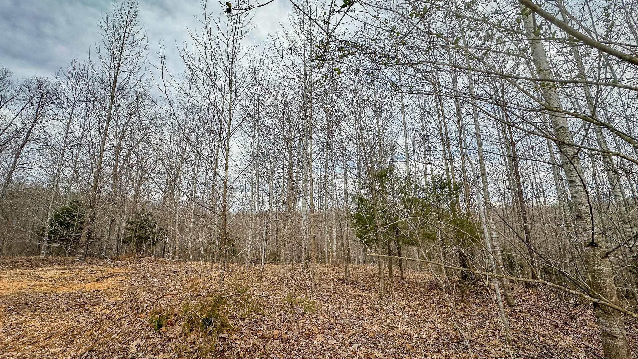 0 Highway 100 Property Photo 17