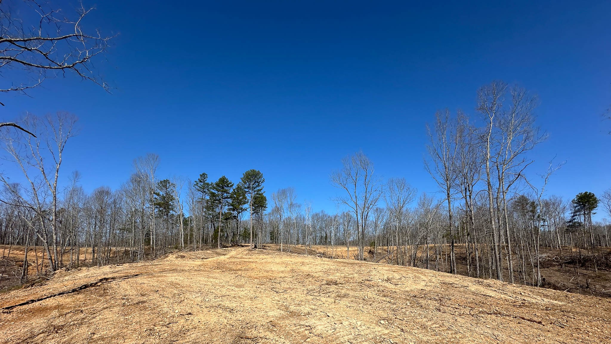0 Highway 438 Property Photo 2