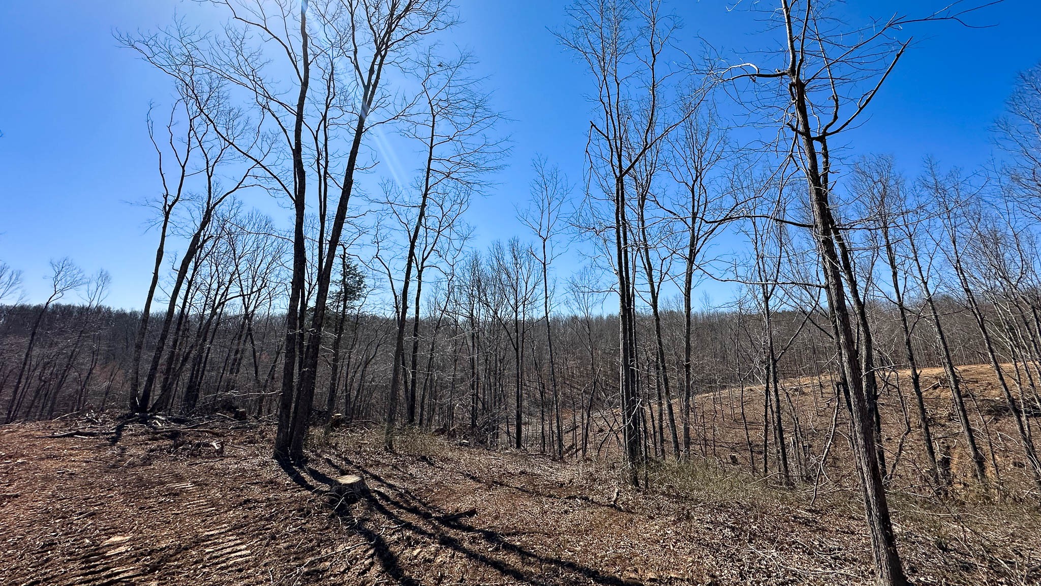 0 Highway 438 Property Photo 3