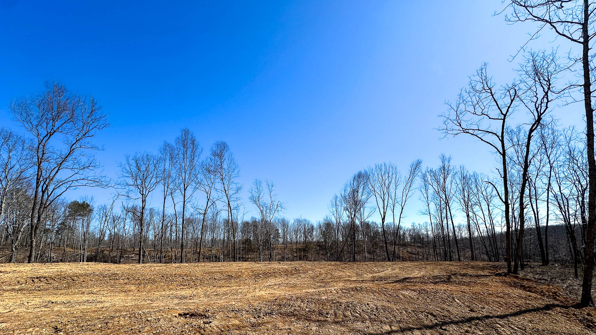 0 Highway 438 Property Photo 4