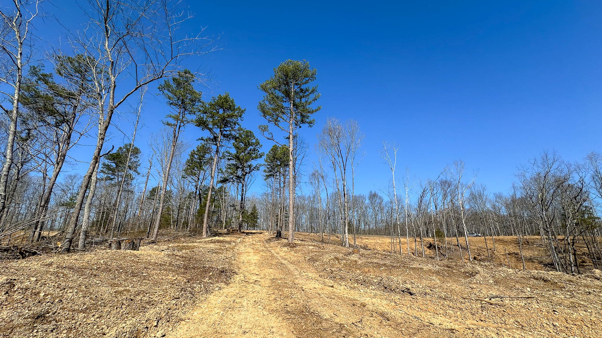 0 Highway 438 Property Photo 5