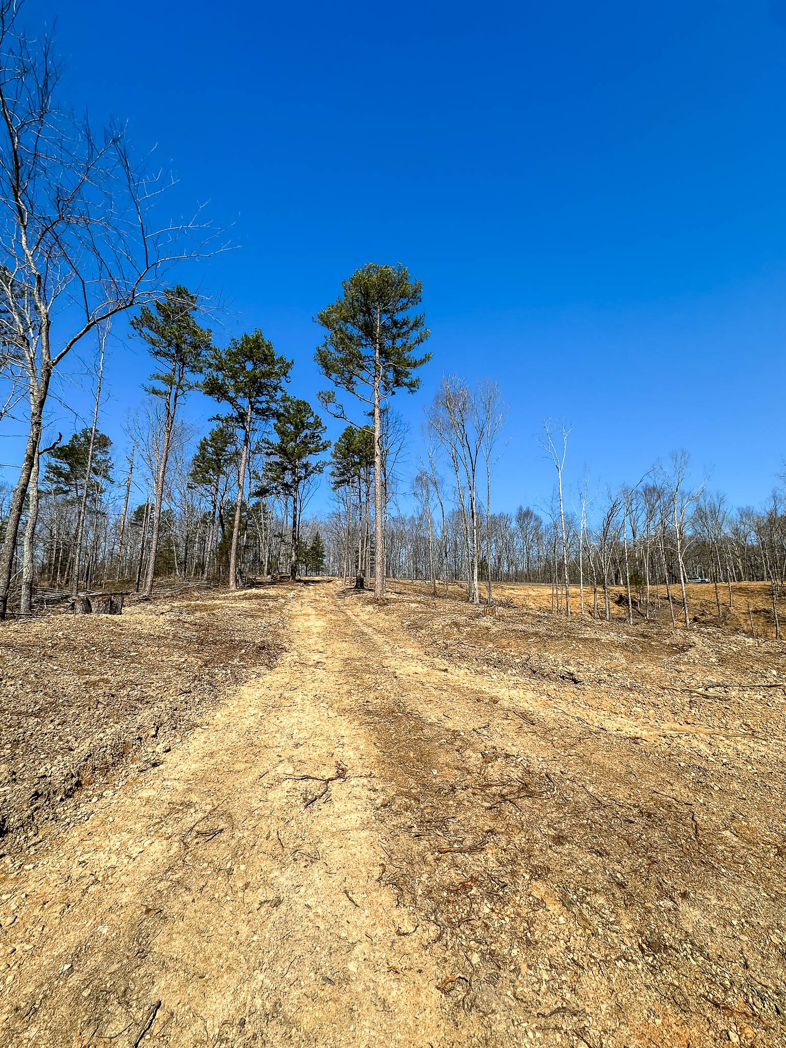 0 Highway 438 Property Photo 6