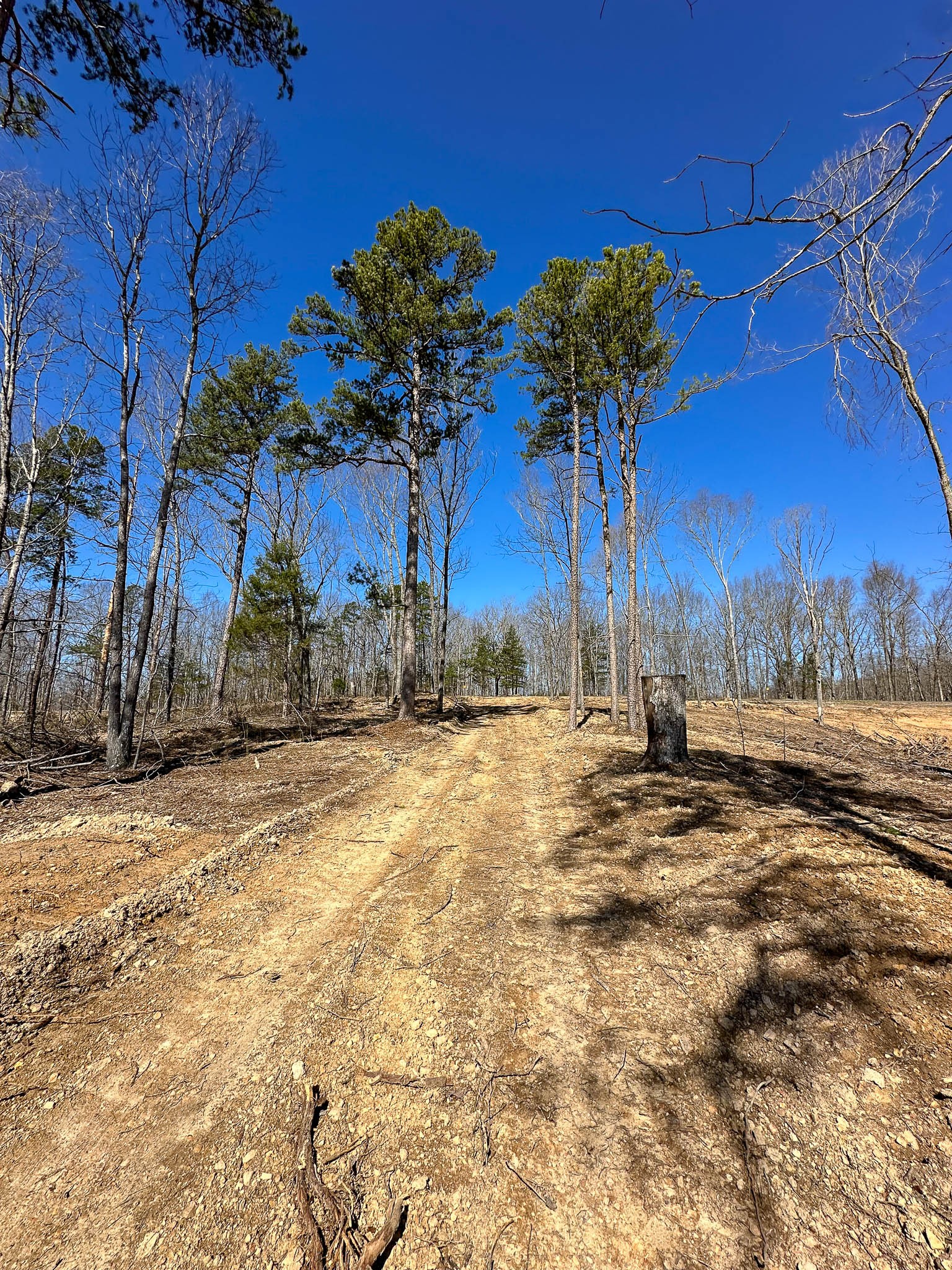 0 Highway 438 Property Photo 8
