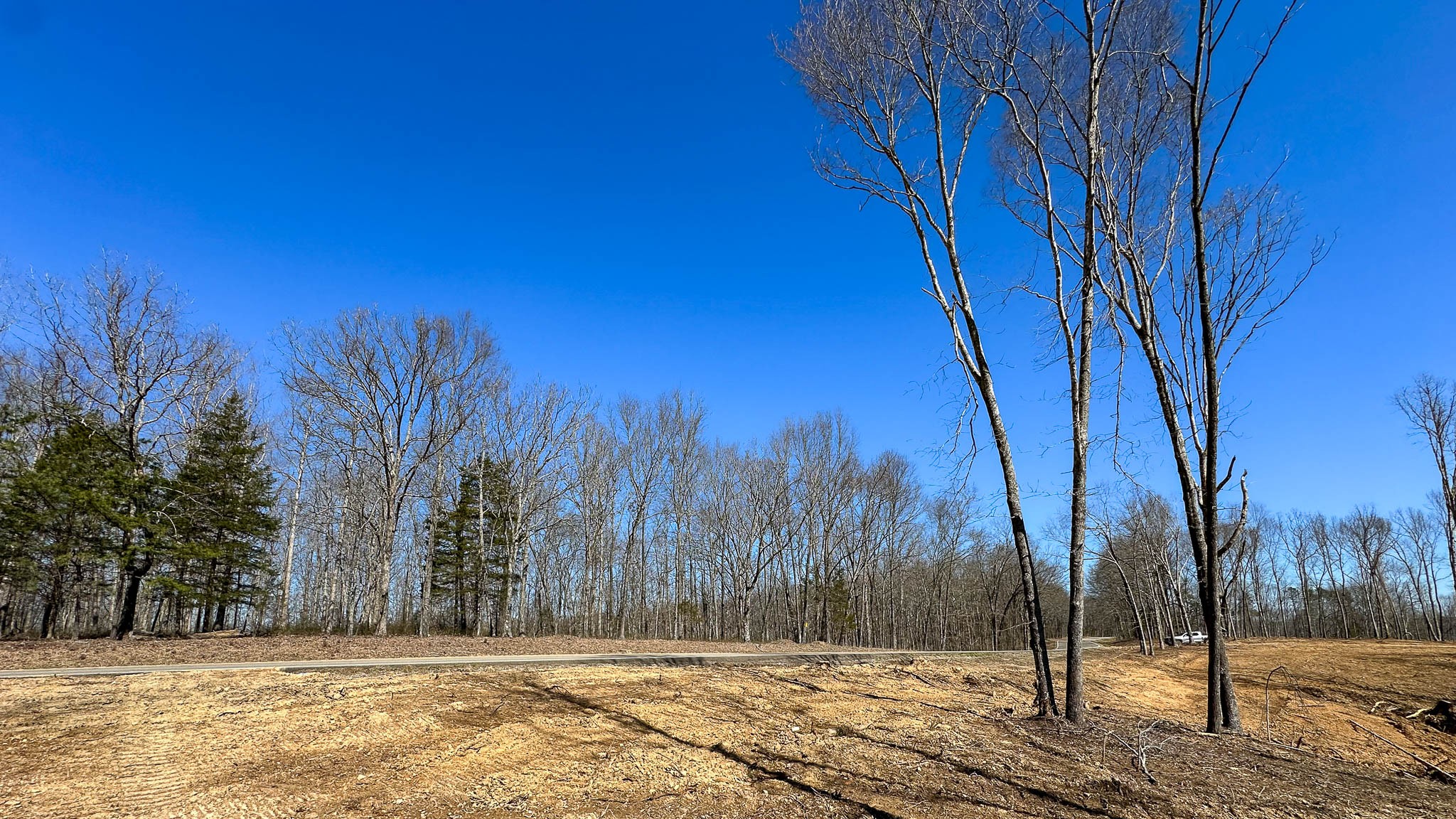 0 Highway 438 Property Photo 10