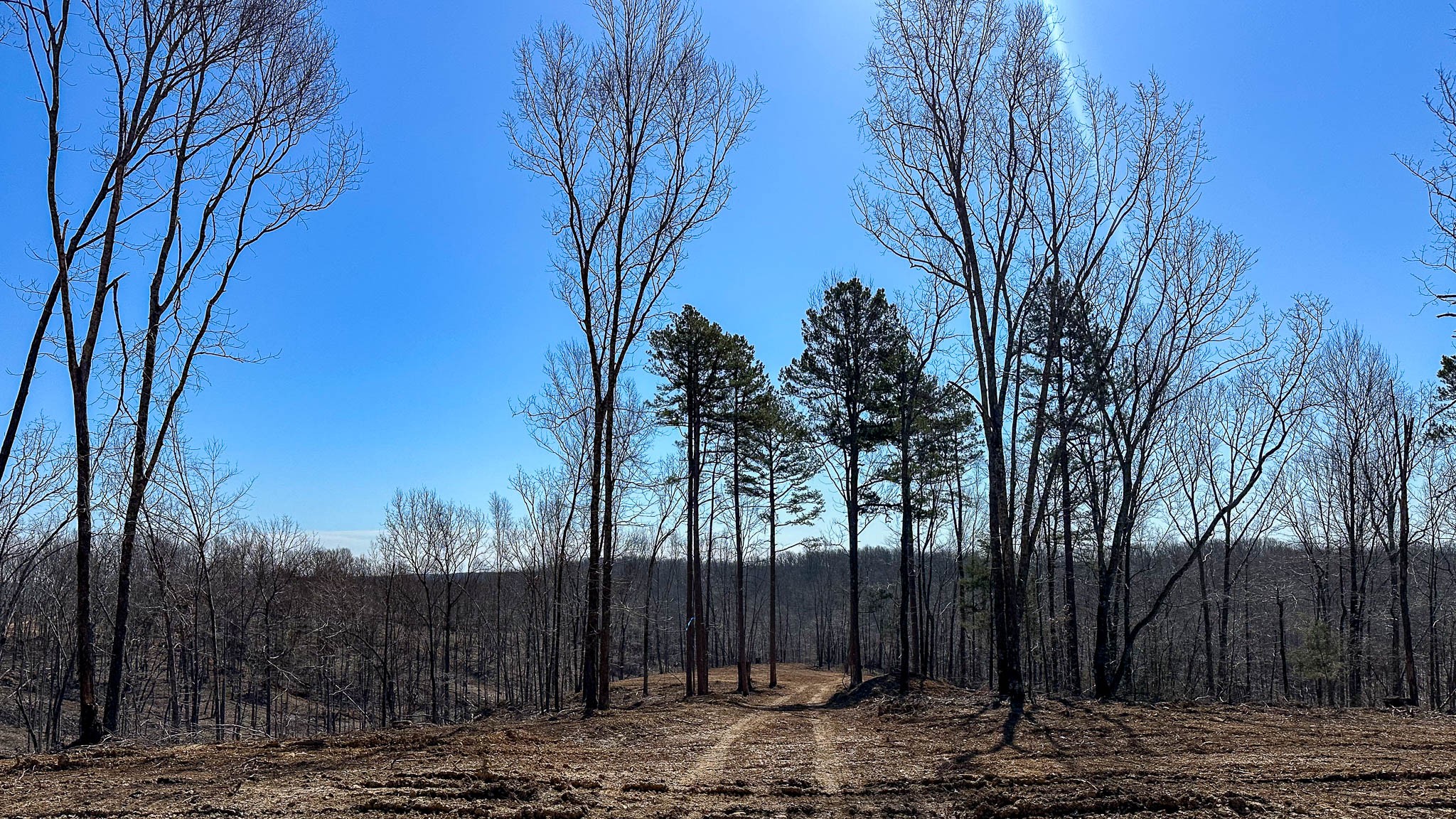 0 Highway 438 Property Photo 18