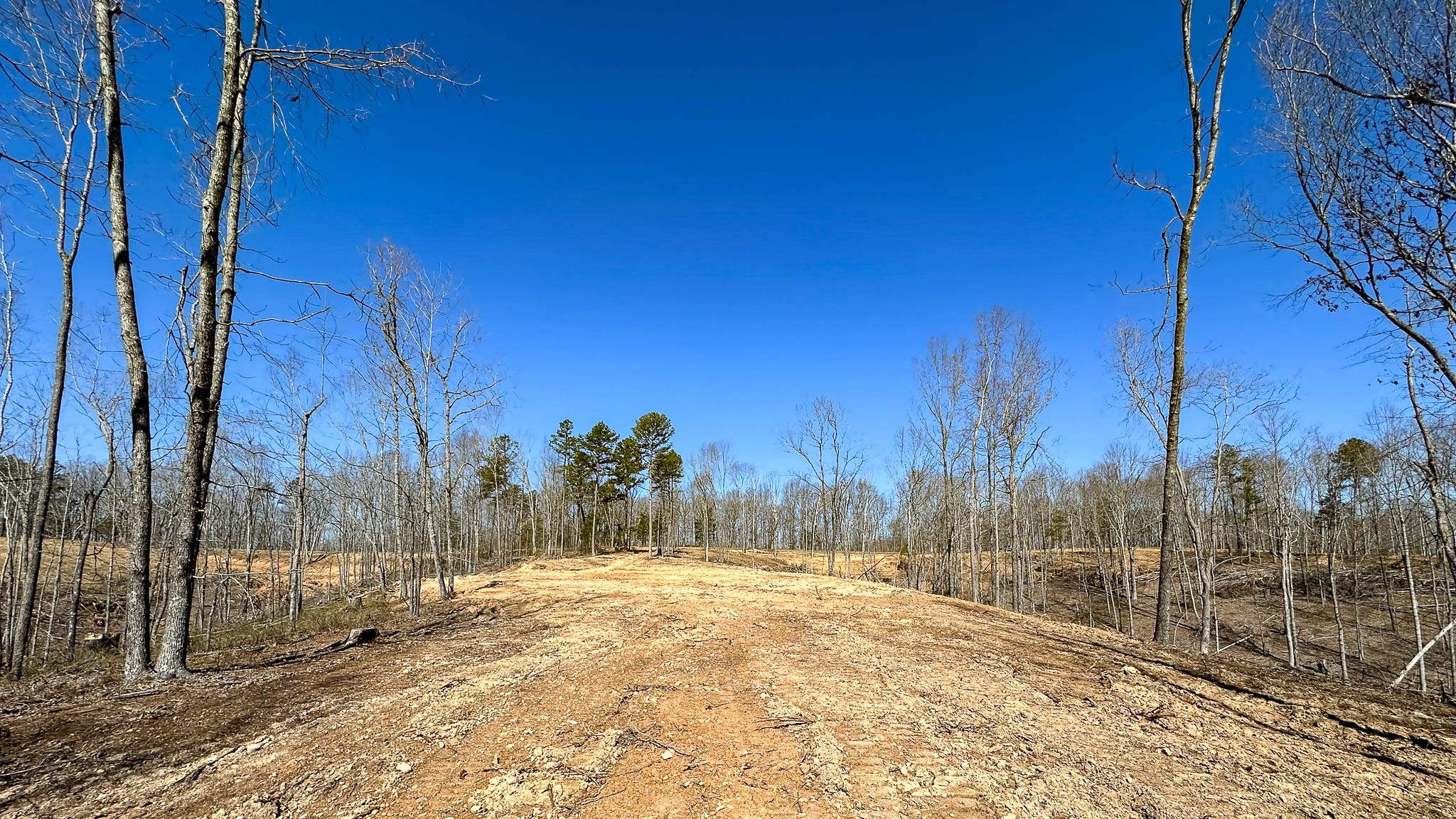 0 Highway 438 Property Photo 24