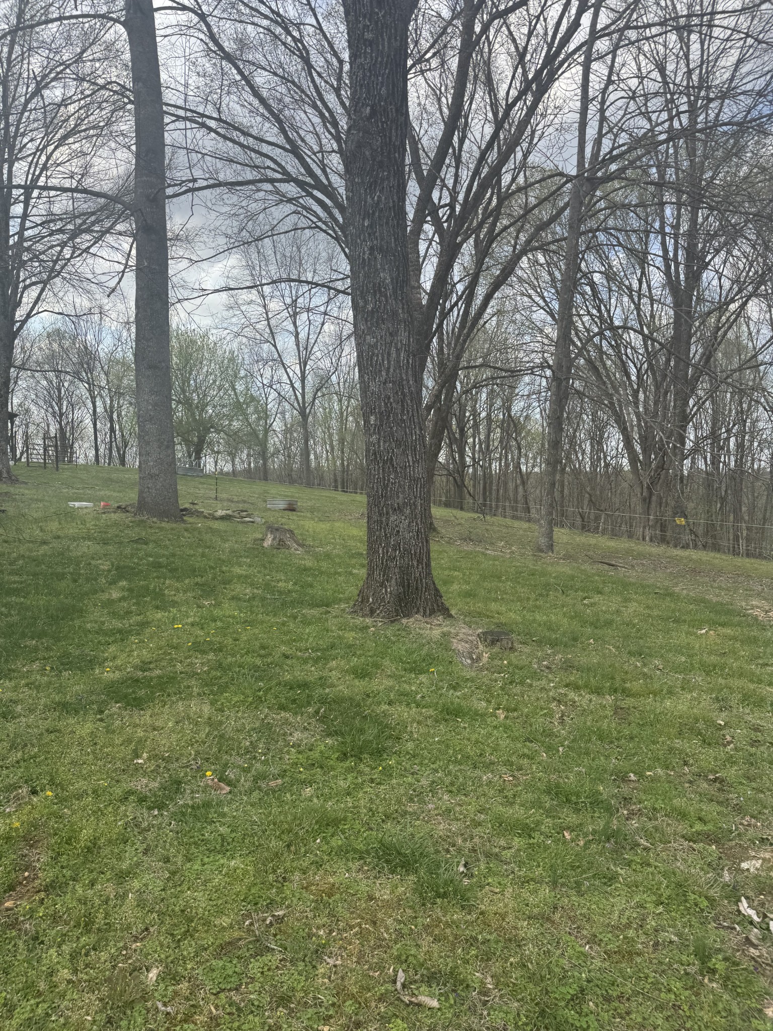 784 Sunset Ridge Ln Property Photo 28