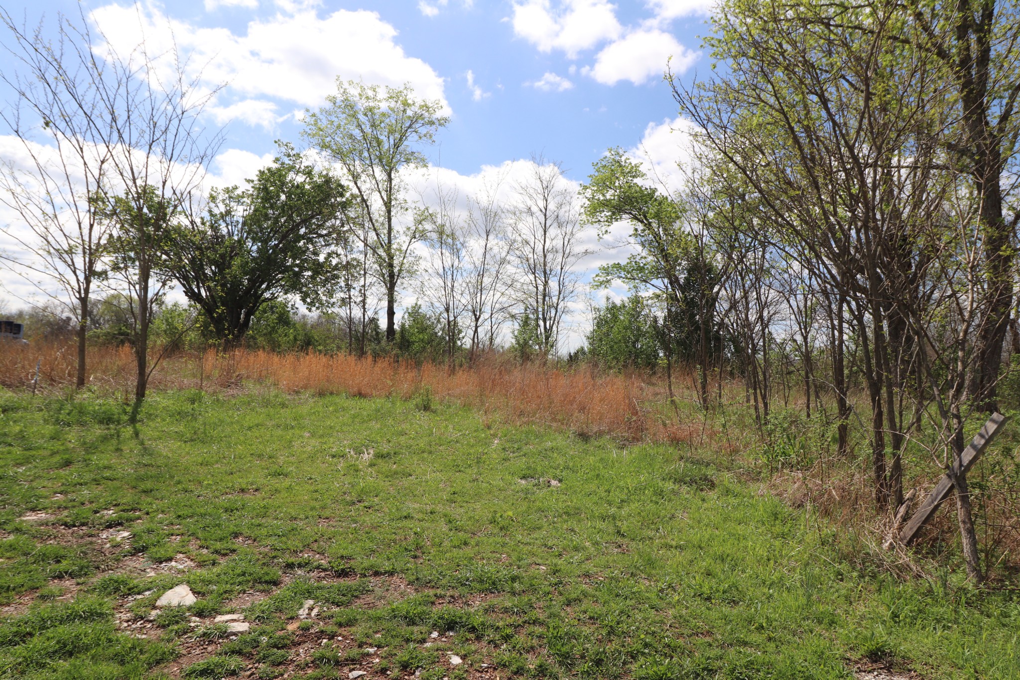 6 Whites Bluff Lane Property Photo 6
