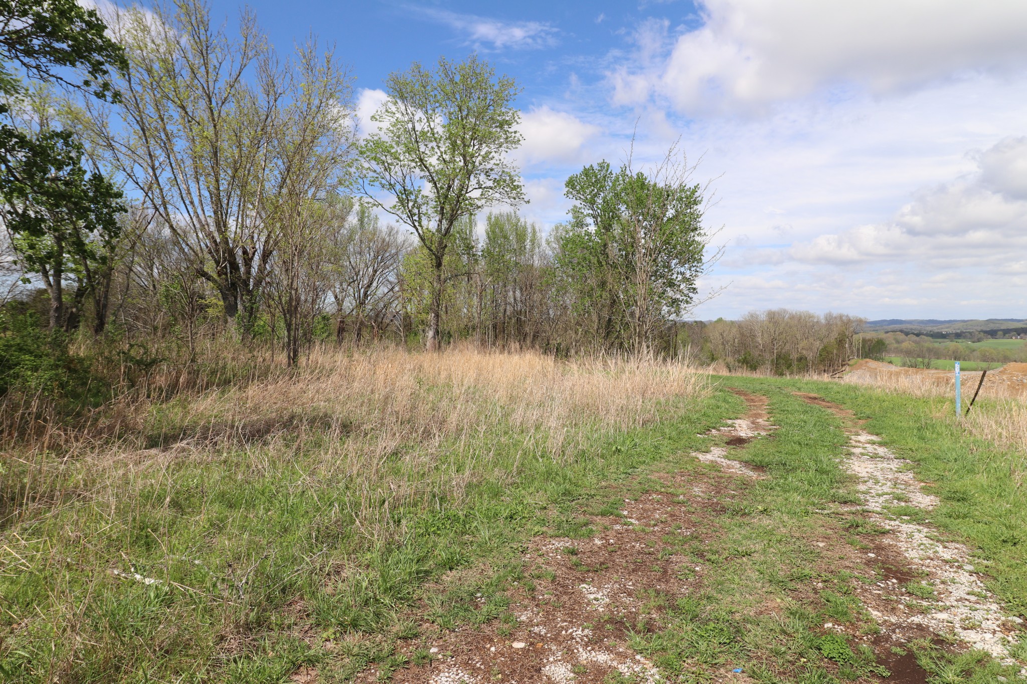 6 Whites Bluff Lane Property Photo 8