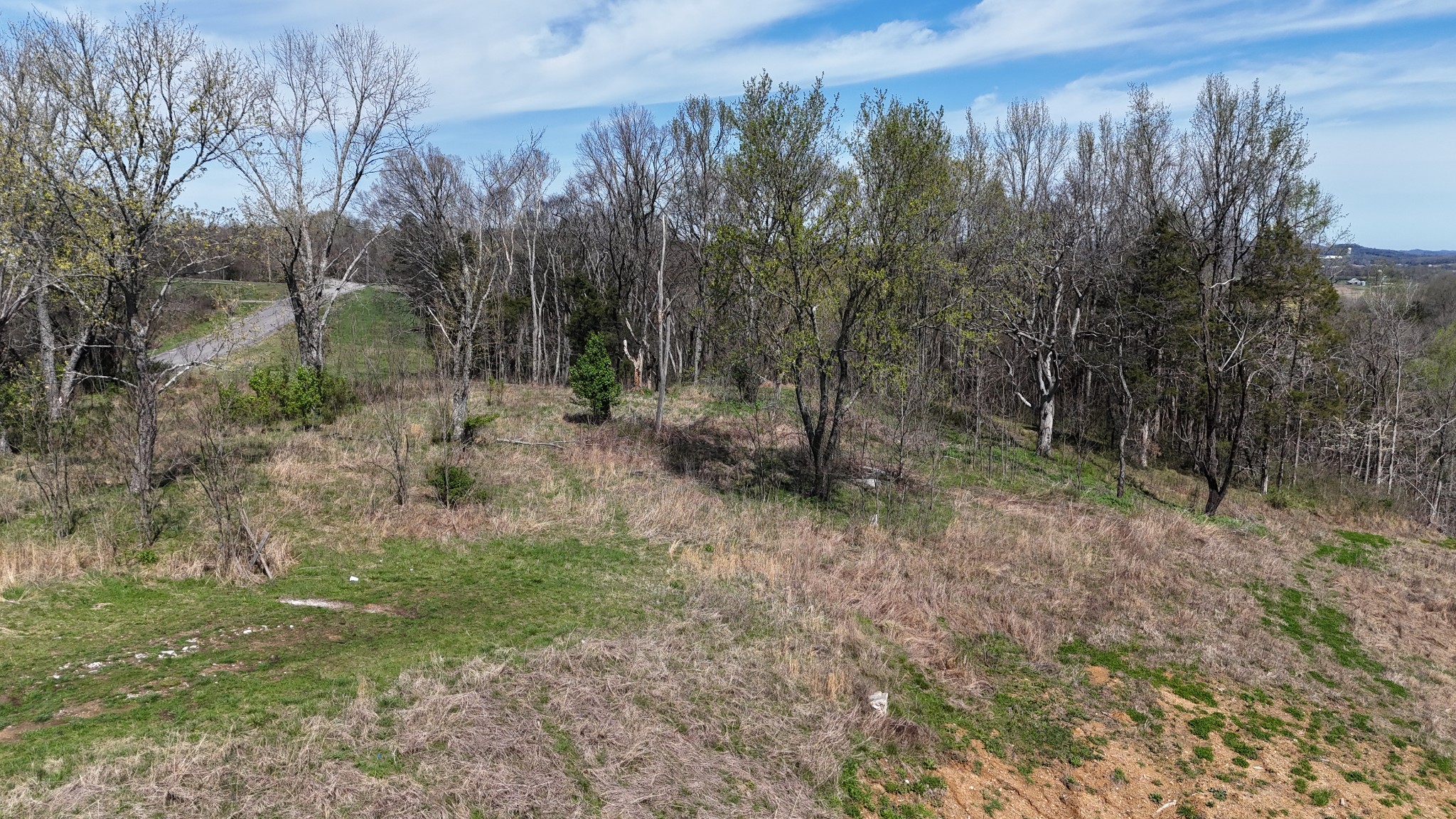 6 Whites Bluff Lane Property Photo 29