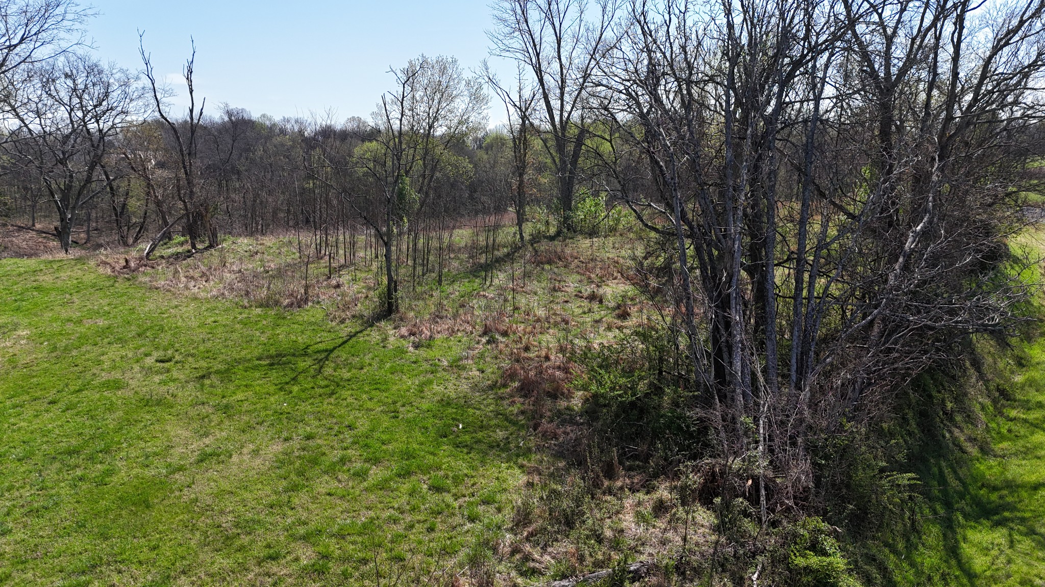 6 Whites Bluff Lane Property Photo 33
