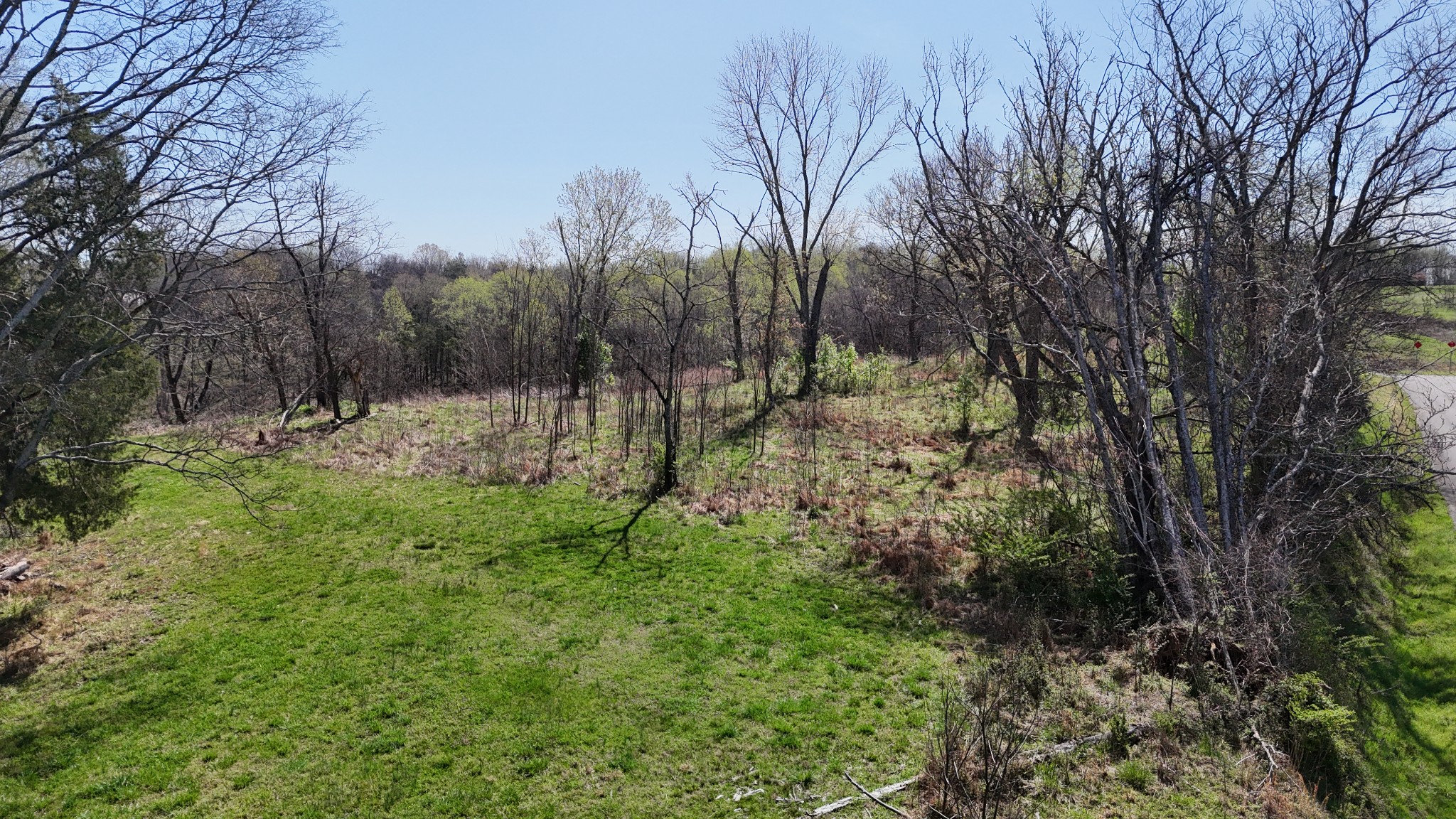 6 Whites Bluff Lane Property Photo 34