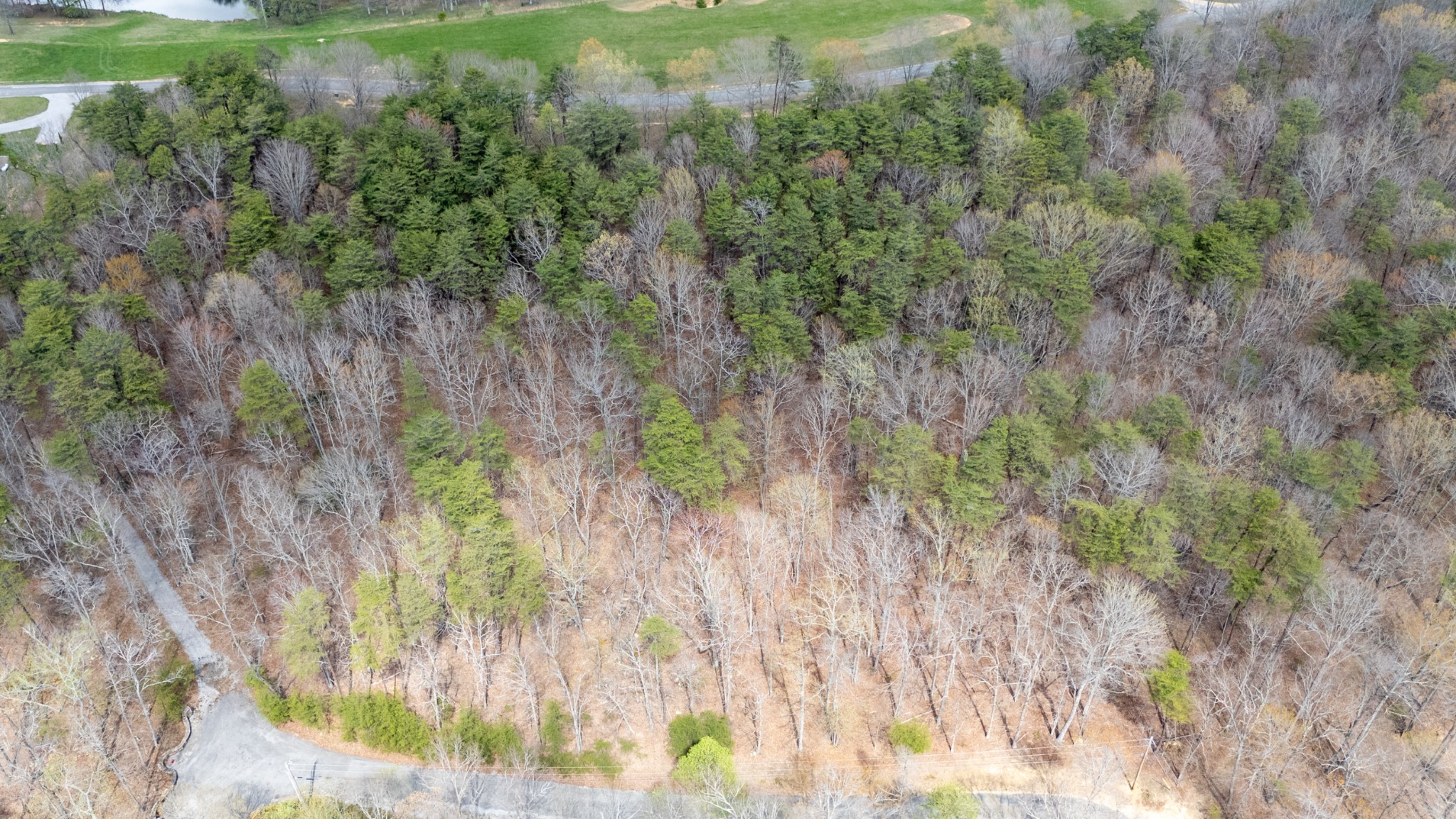 0 High Meadow Property Photo 15