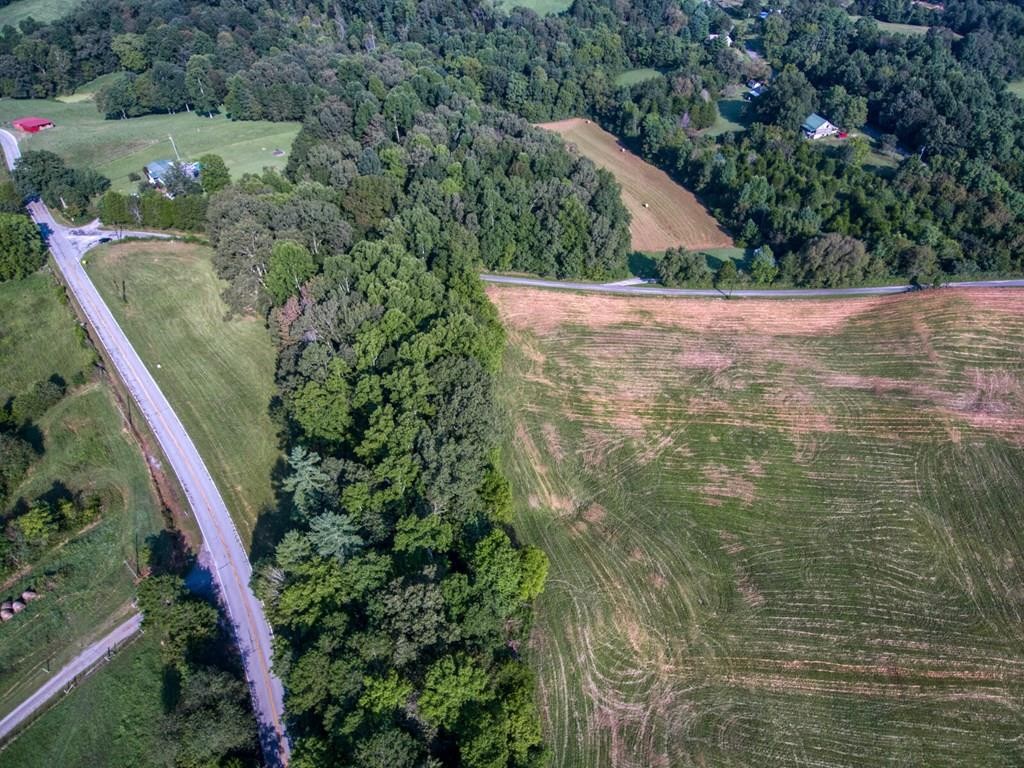 0 Gooseneck Rd, E Property Photo 6