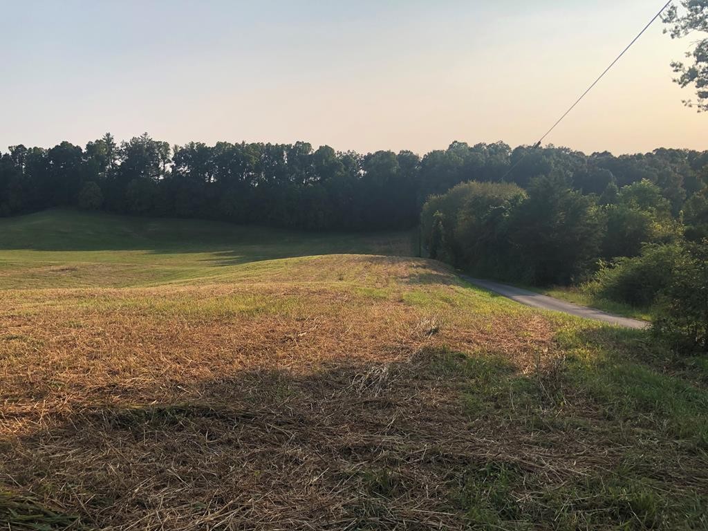 0 Gooseneck Rd, E Property Photo 12