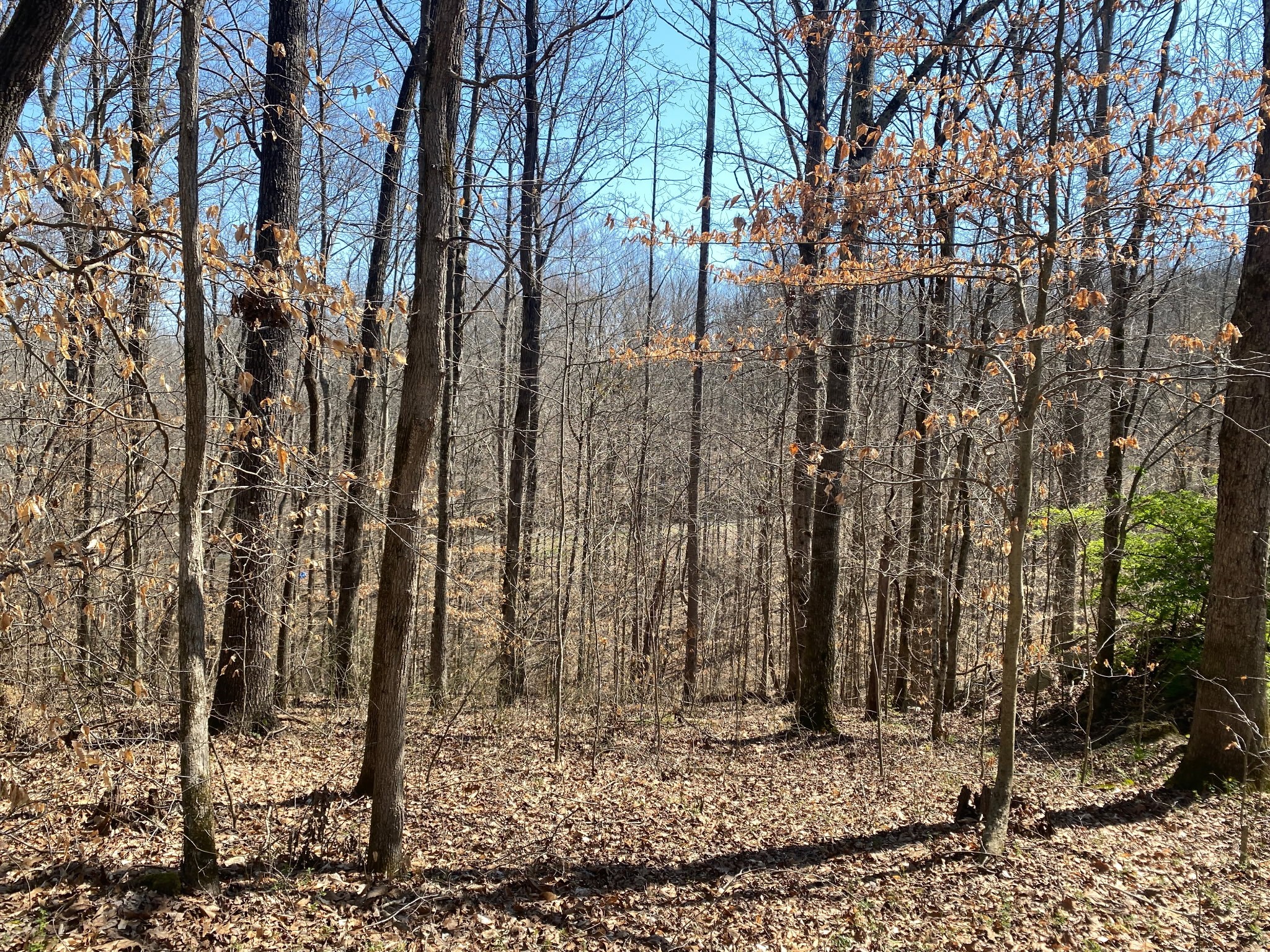 0 Anderson Rd Property Photo