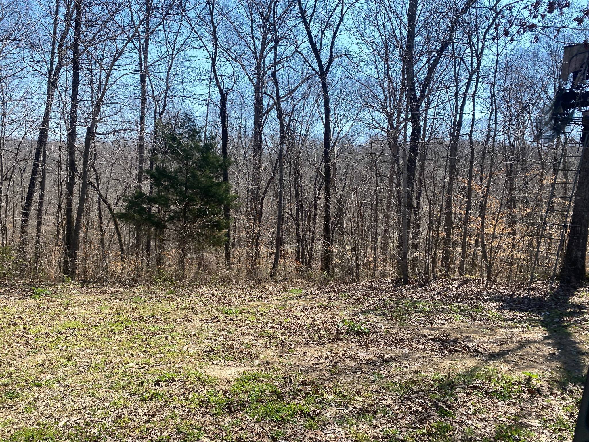 0 Anderson Rd Property Photo 2