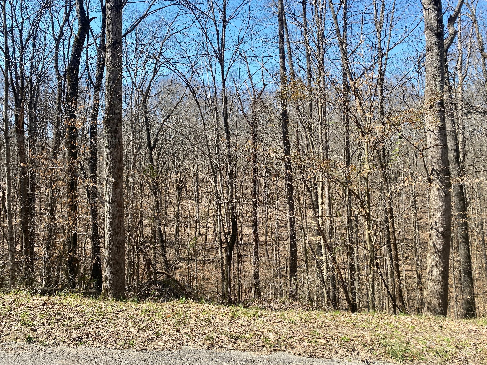 0 Anderson Rd Property Photo 3
