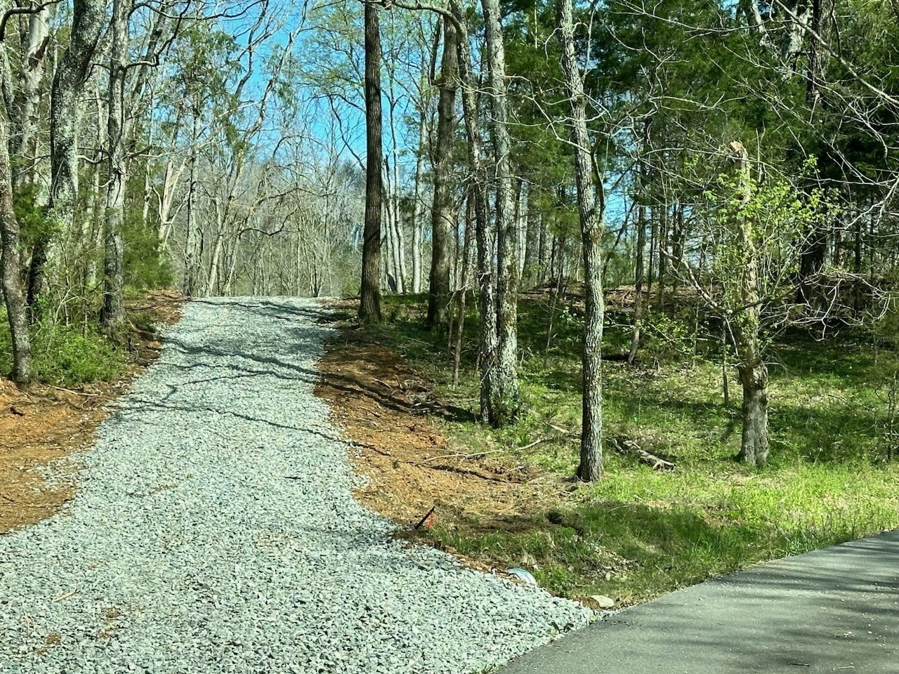 0 Campbellsville Road Property Photo 2