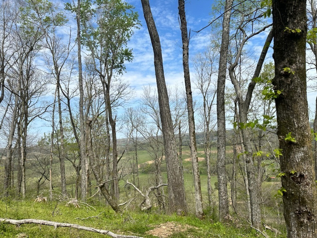 0 Campbellsville Road Property Photo 6