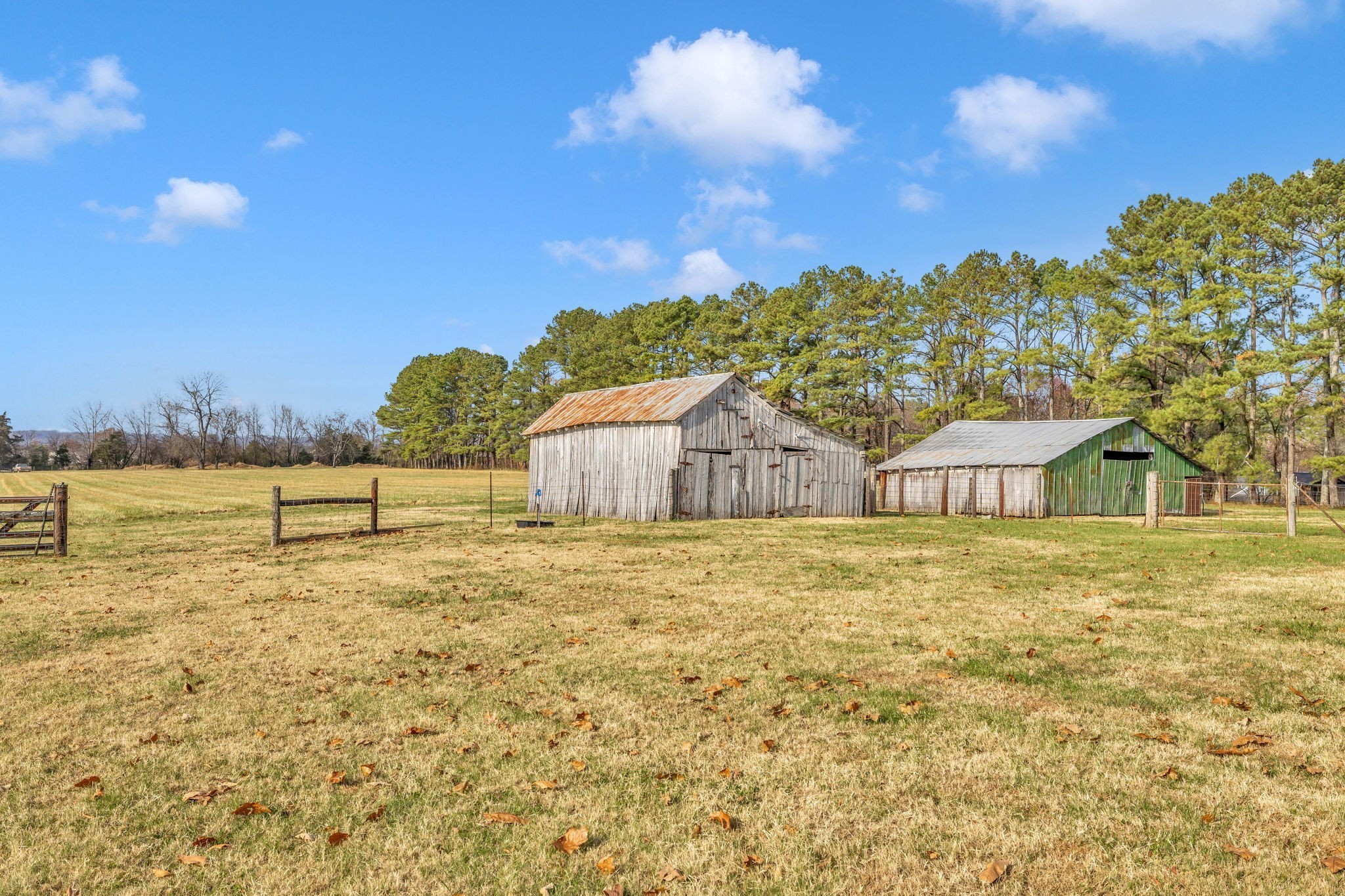 2345 Nashville Hwy Property Photo 32