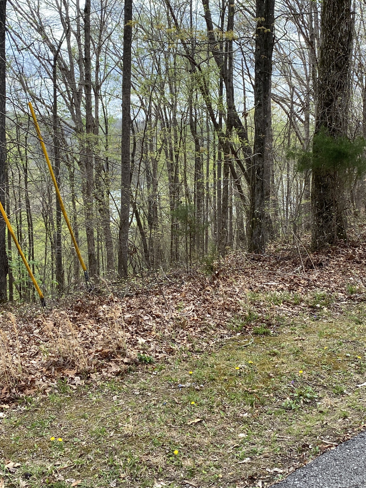 0 Mountain Harbor Dr Property Photo 3