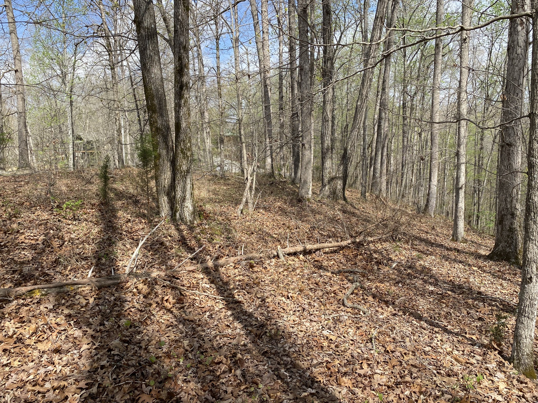 0 Mountain Harbor Dr Property Photo 5