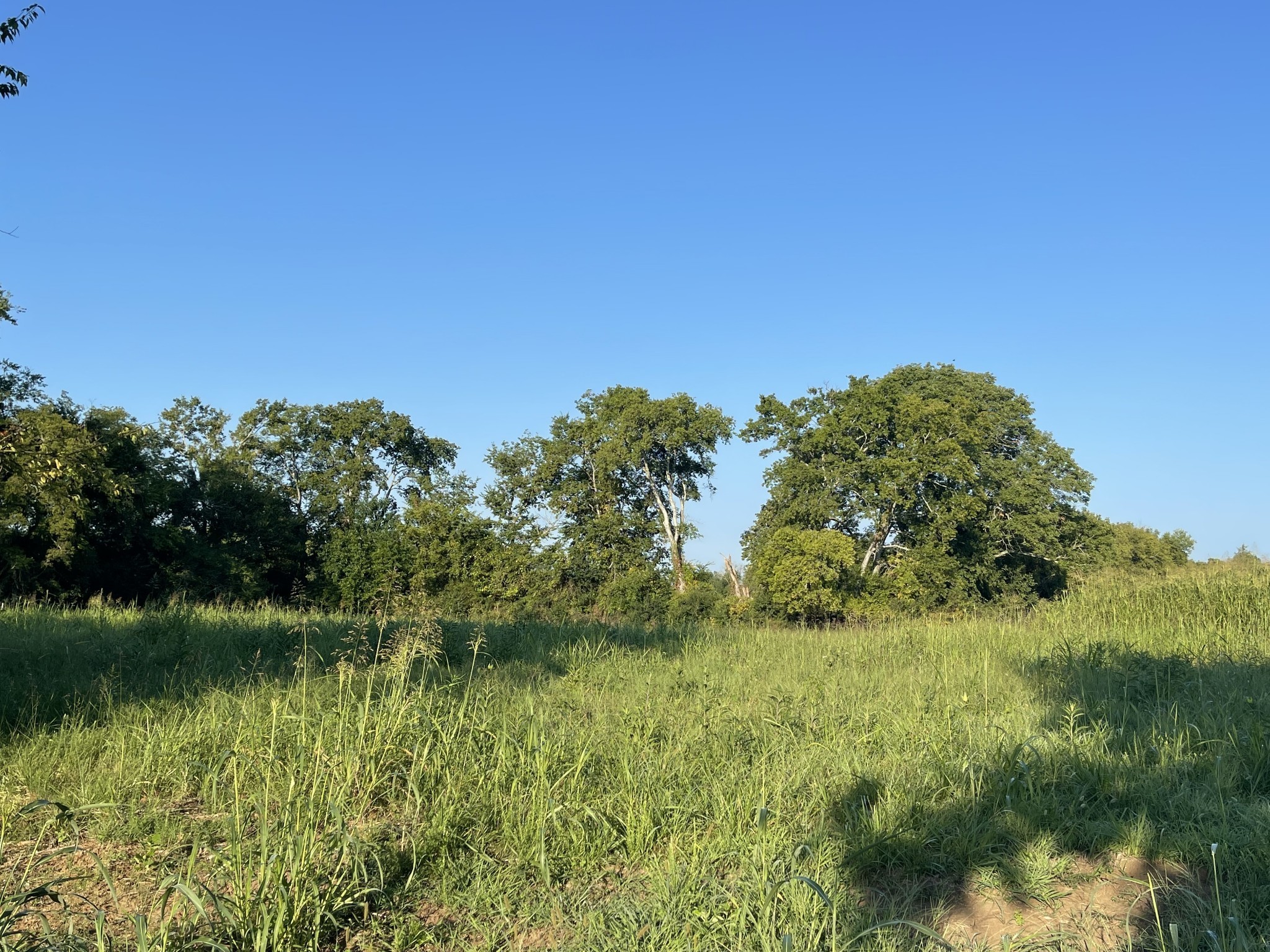 0 Hartsville Pike Property Photo