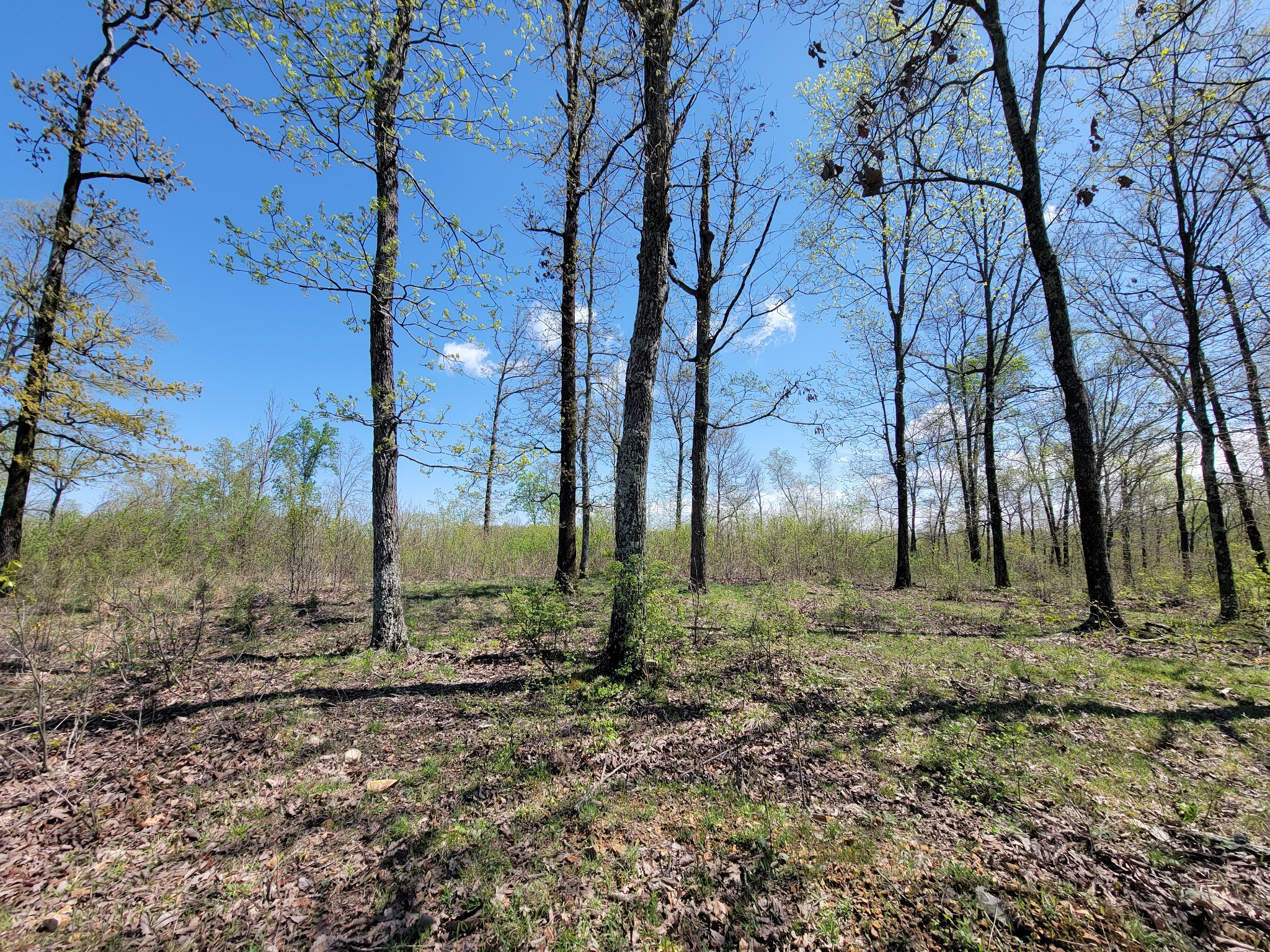 1025 Vista Ridge Dr Property Photo 4