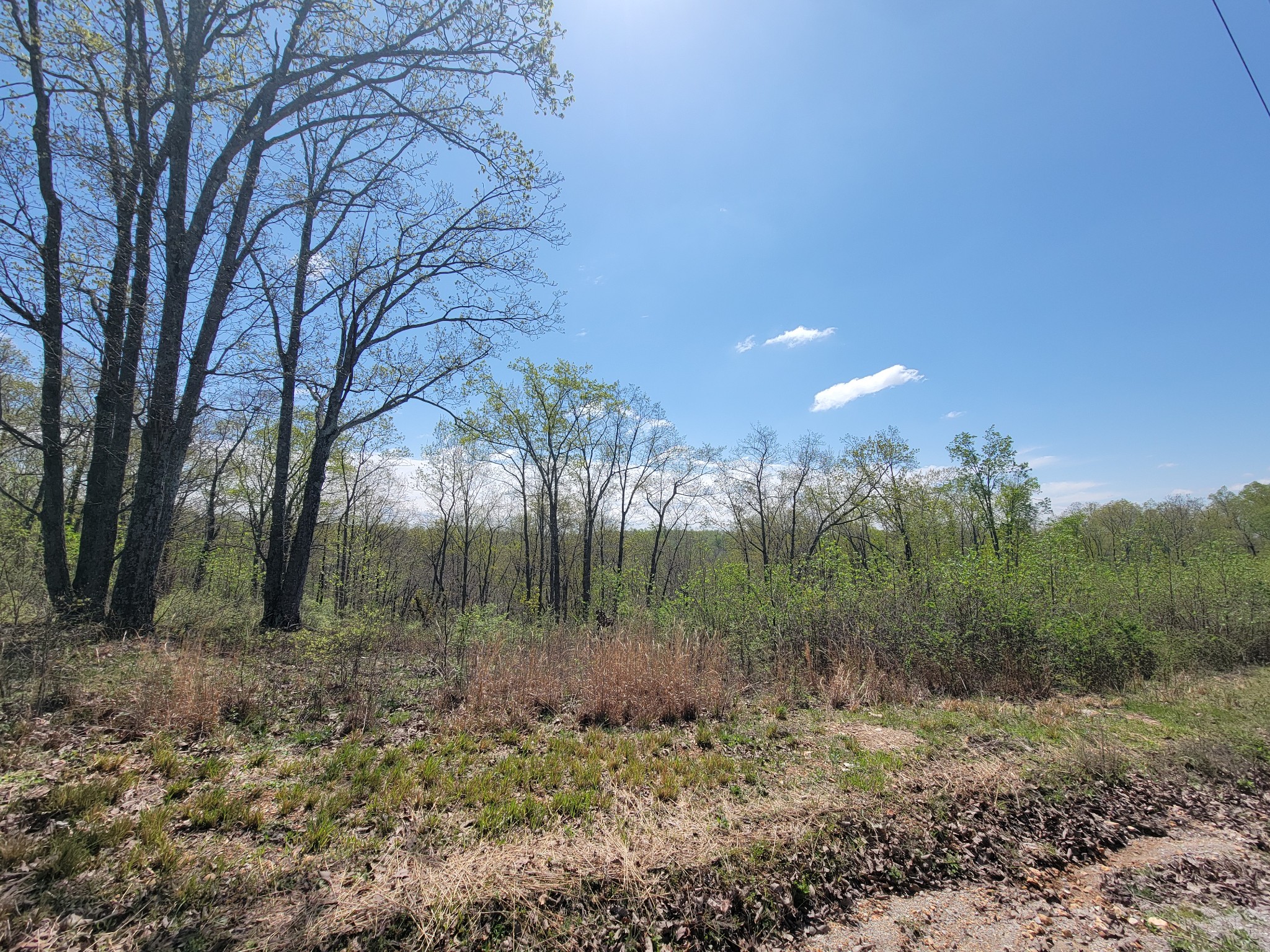 1025 Vista Ridge Dr Property Photo 8