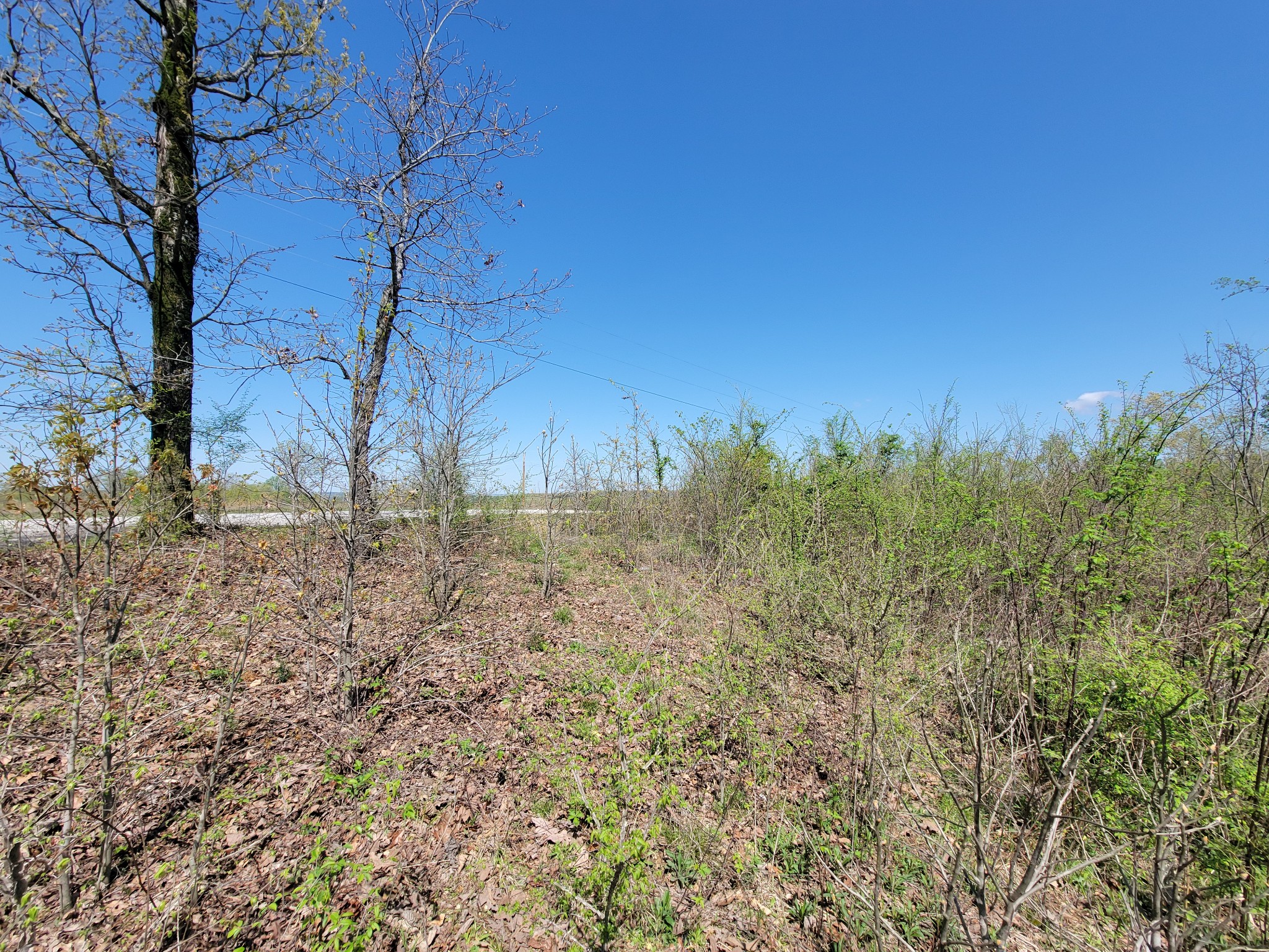 1025 Vista Ridge Dr Property Photo 9