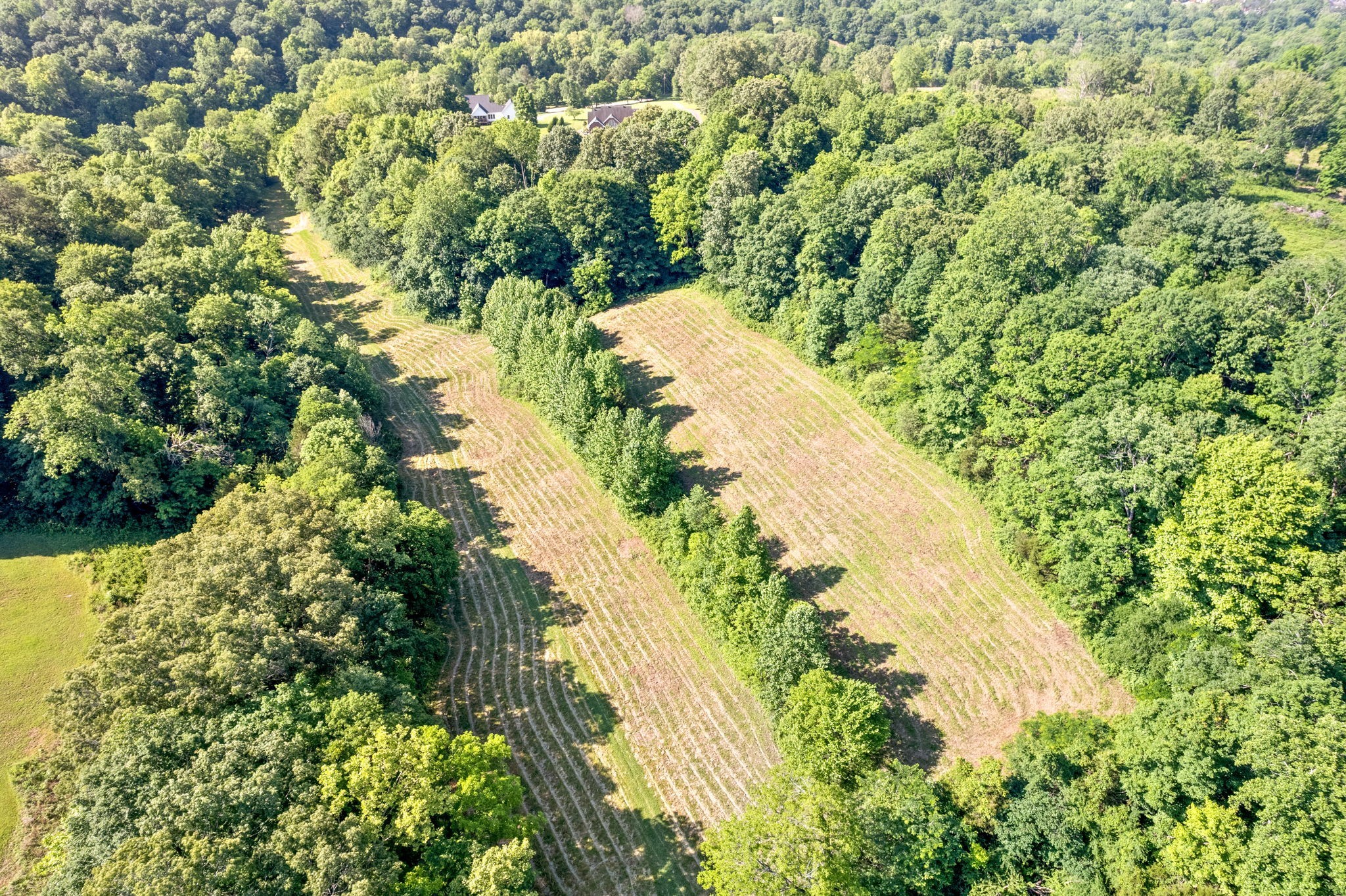 645 Mcadoo Creek Property Photo 1