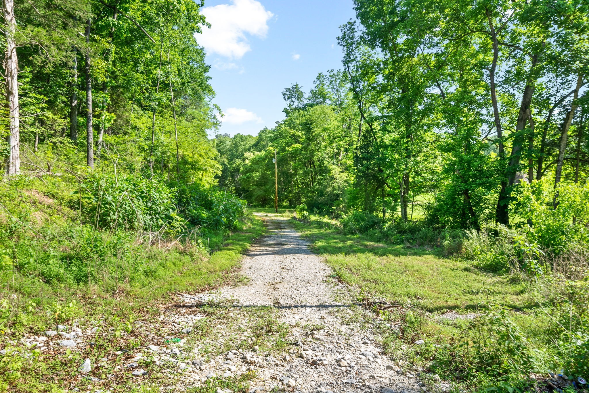 645 Mcadoo Creek Property Photo 2