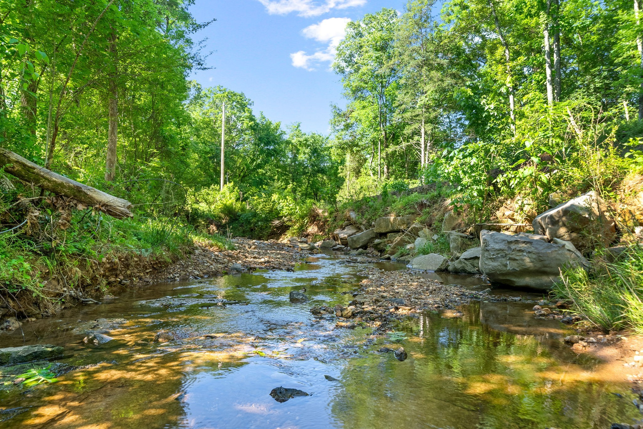 645 Mcadoo Creek Property Photo 4