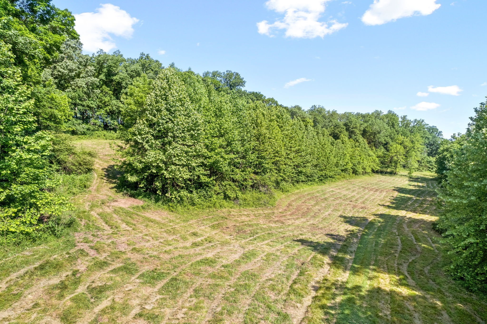 645 Mcadoo Creek Property Photo 7