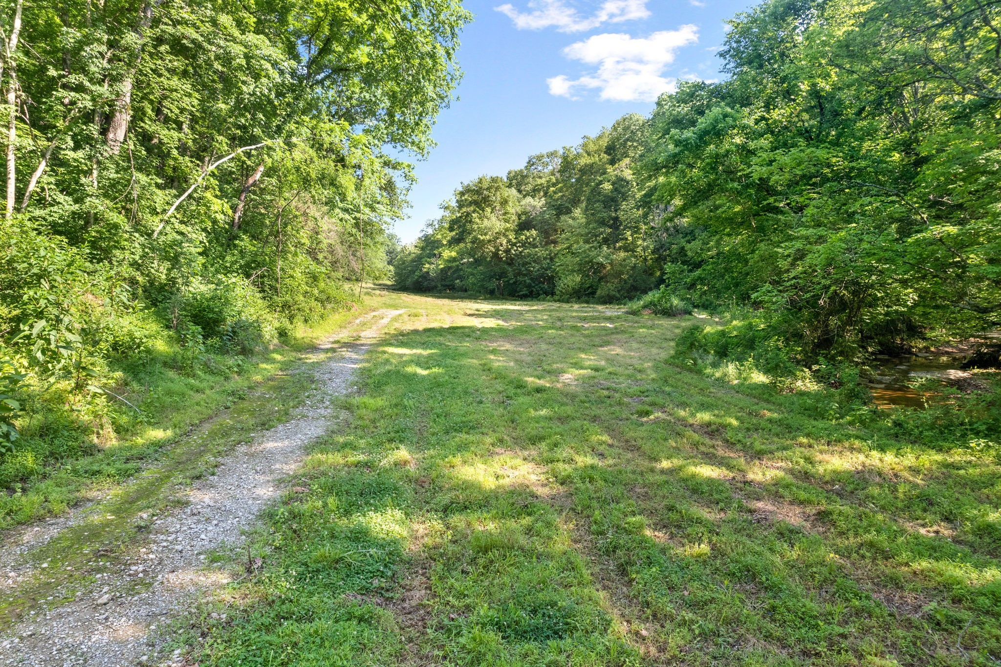 645 Mcadoo Creek Property Photo 9
