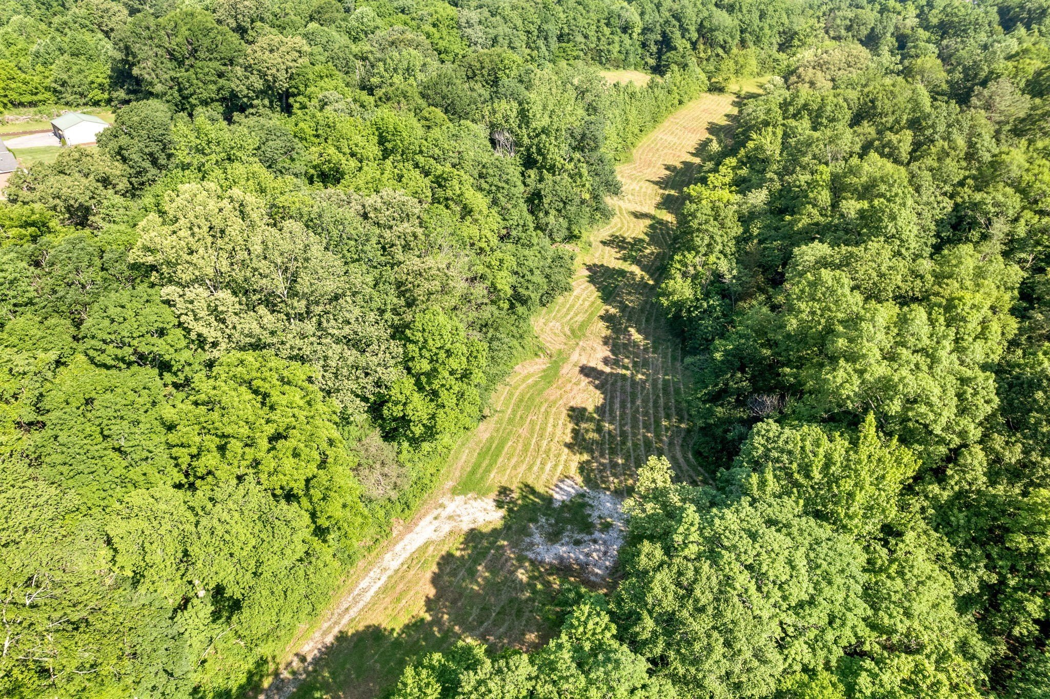 645 Mcadoo Creek Property Photo 10