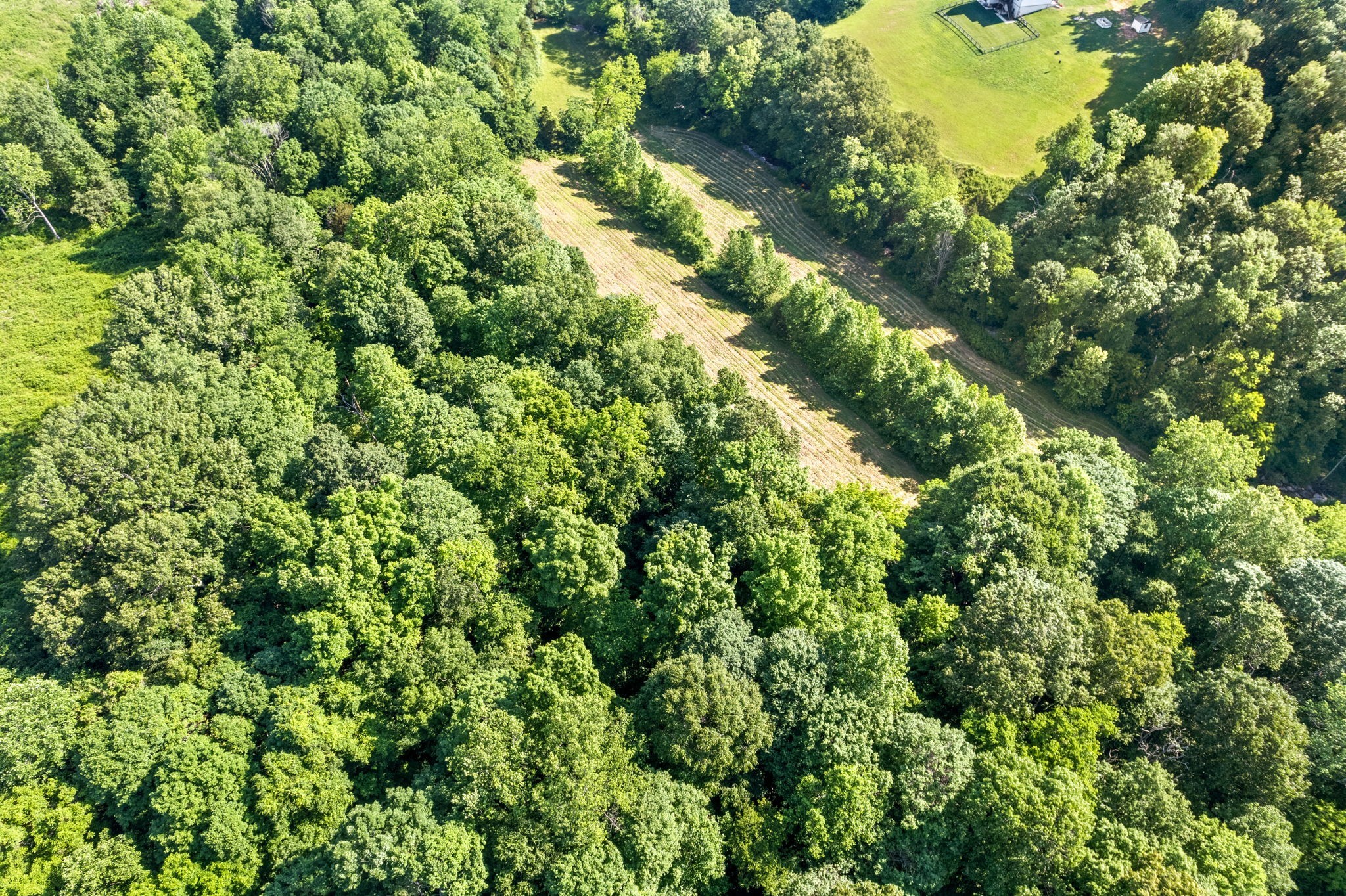 645 Mcadoo Creek Property Photo 14