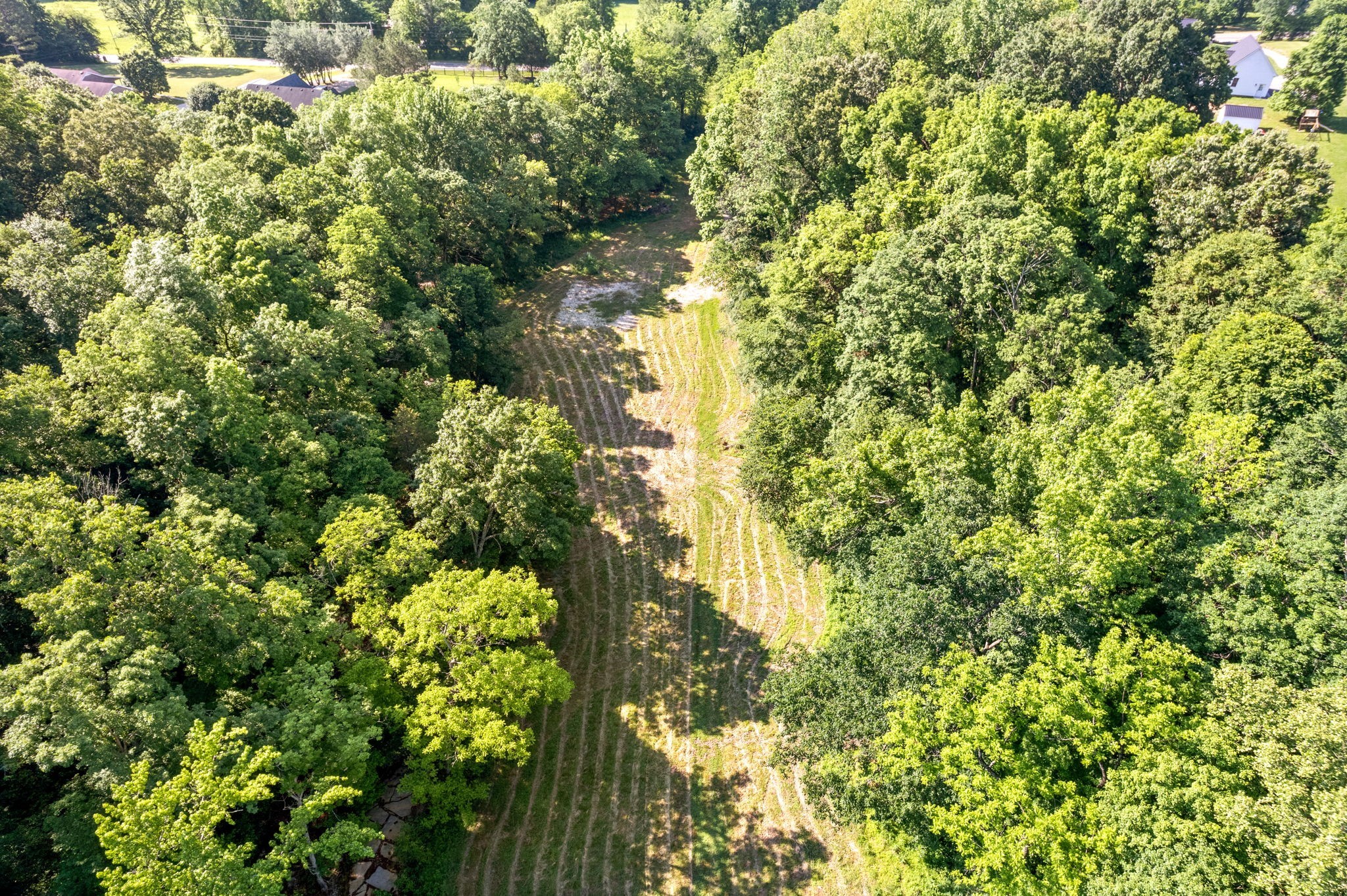 645 Mcadoo Creek Property Photo 15