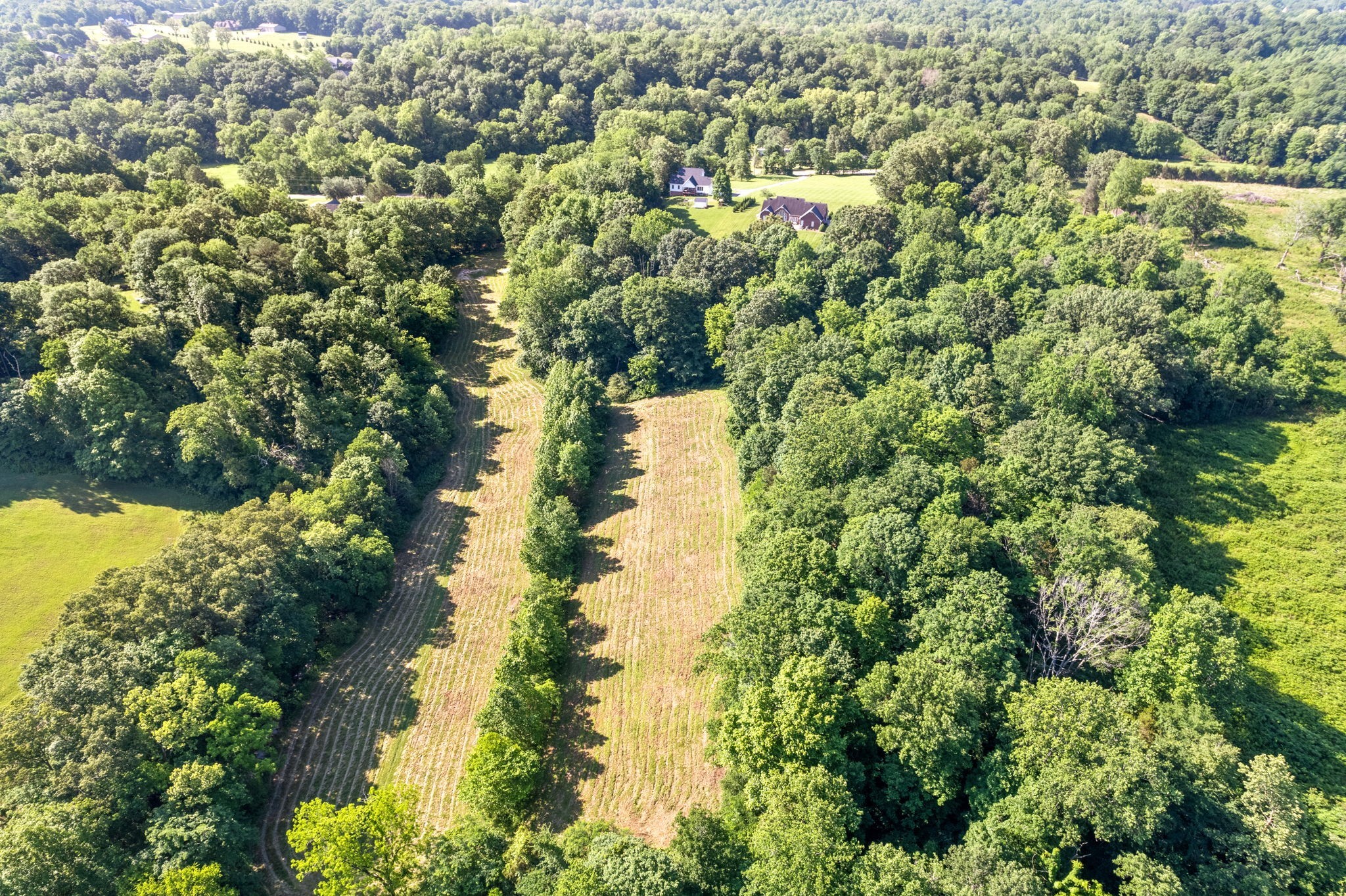 645 Mcadoo Creek Property Photo 16