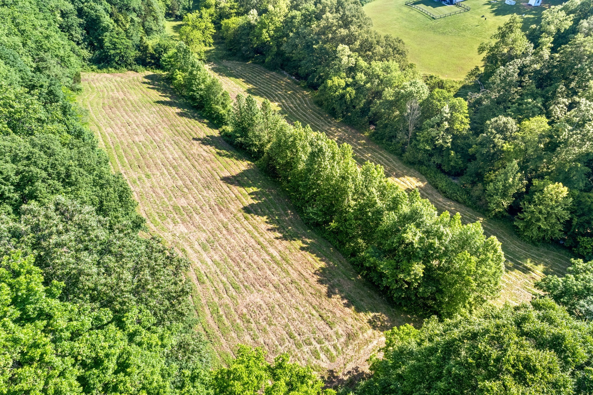 645 Mcadoo Creek Property Photo 18