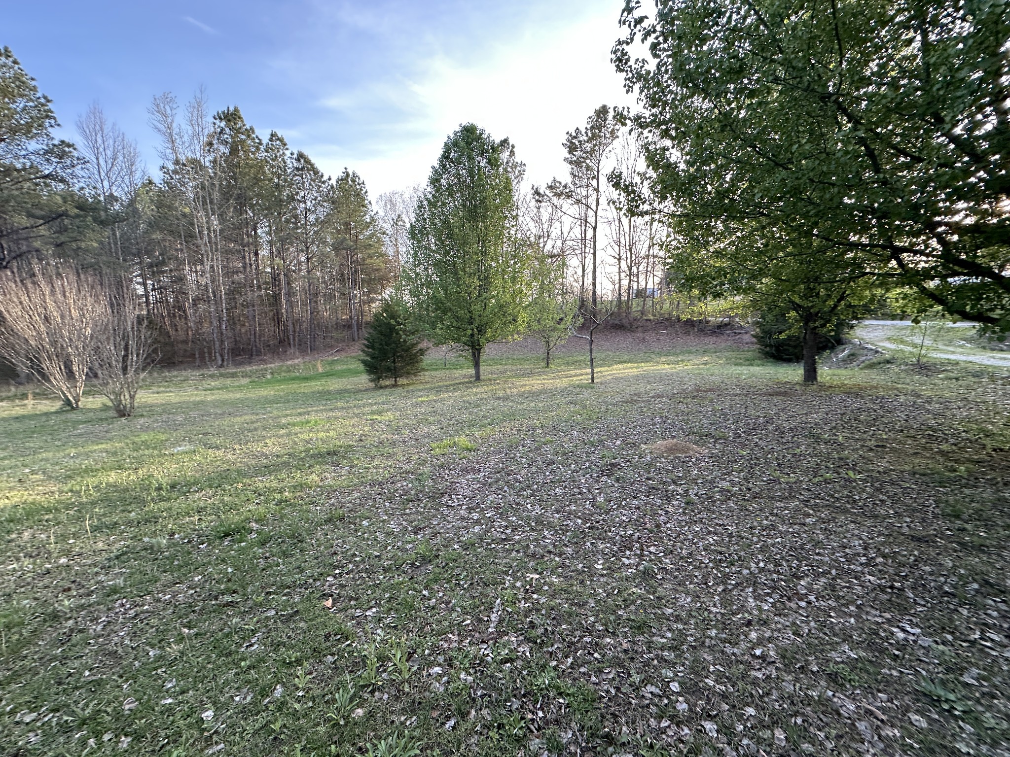 53 Kirk Trl Property Photo 11