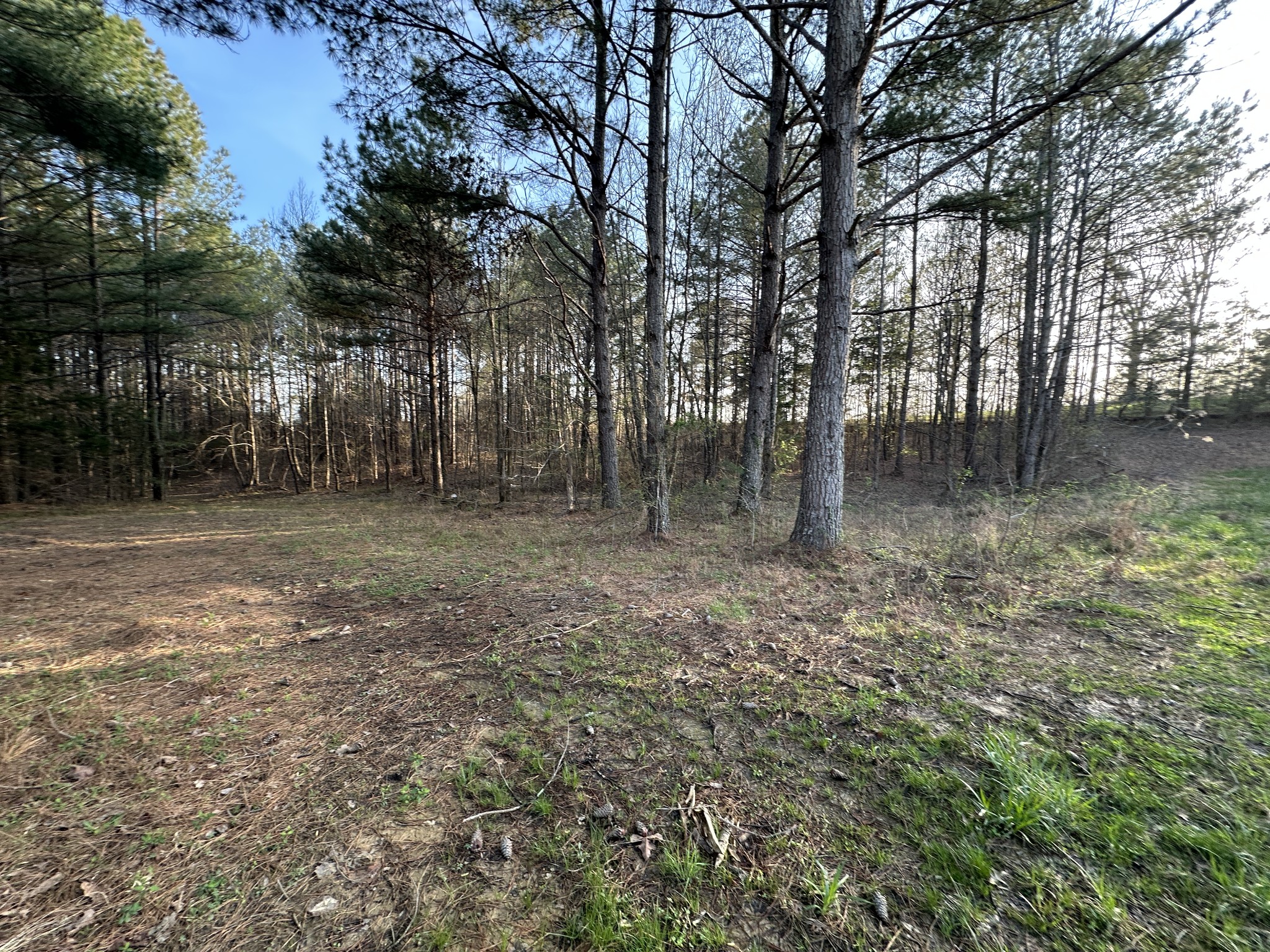 53 Kirk Trl Property Photo 18