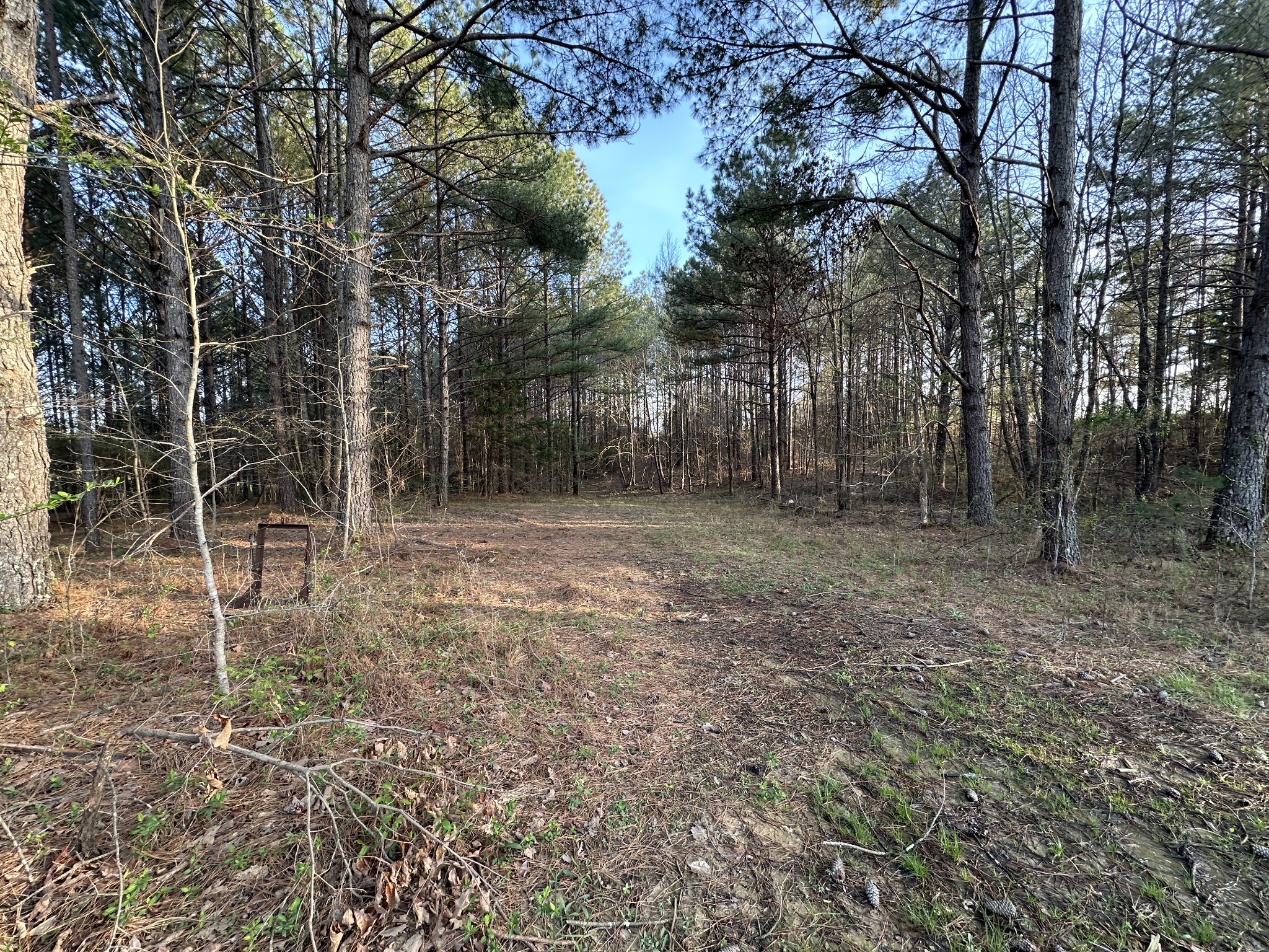 53 Kirk Trl Property Photo 19