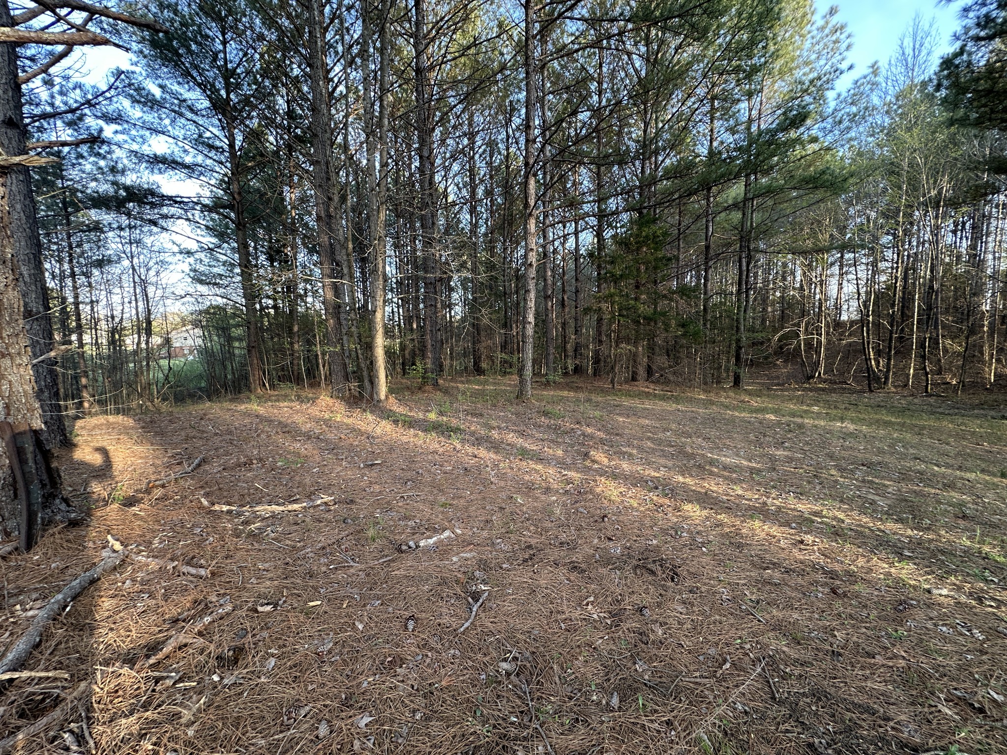 53 Kirk Trl Property Photo 20