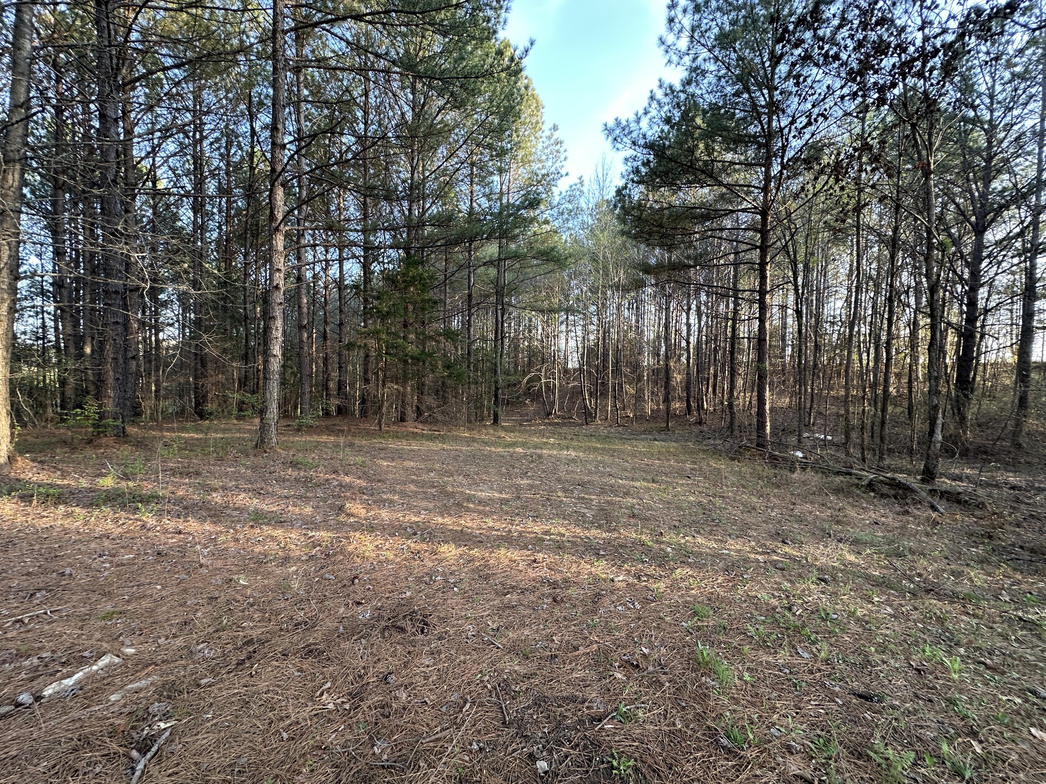53 Kirk Trl Property Photo 21