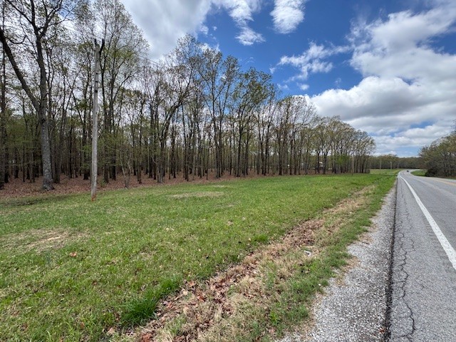 0 Summertown Hwy Property Photo