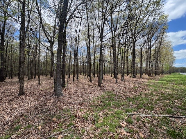 0 Summertown Hwy Property Photo 2